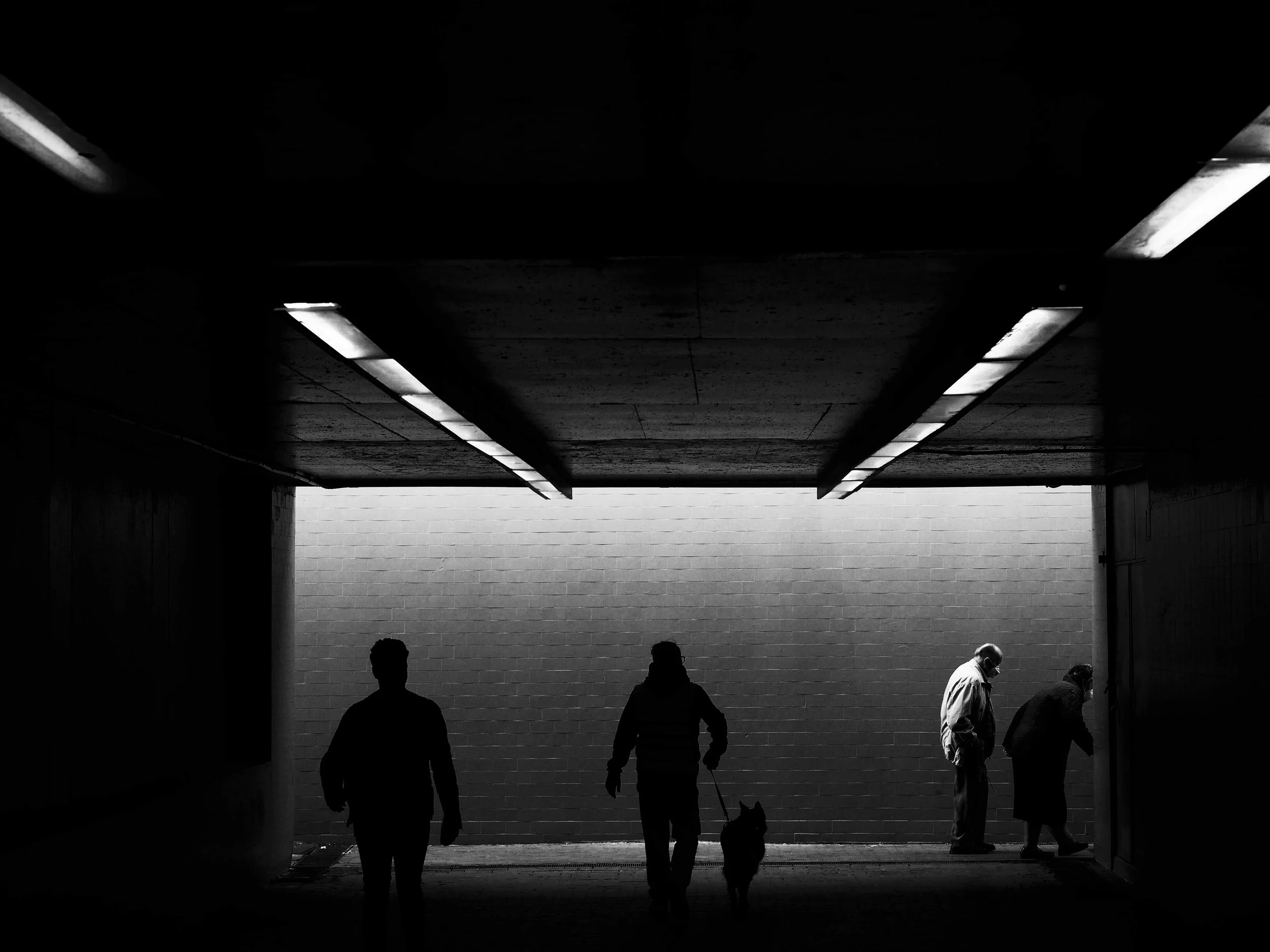 YSKA5436 bnw.jpg