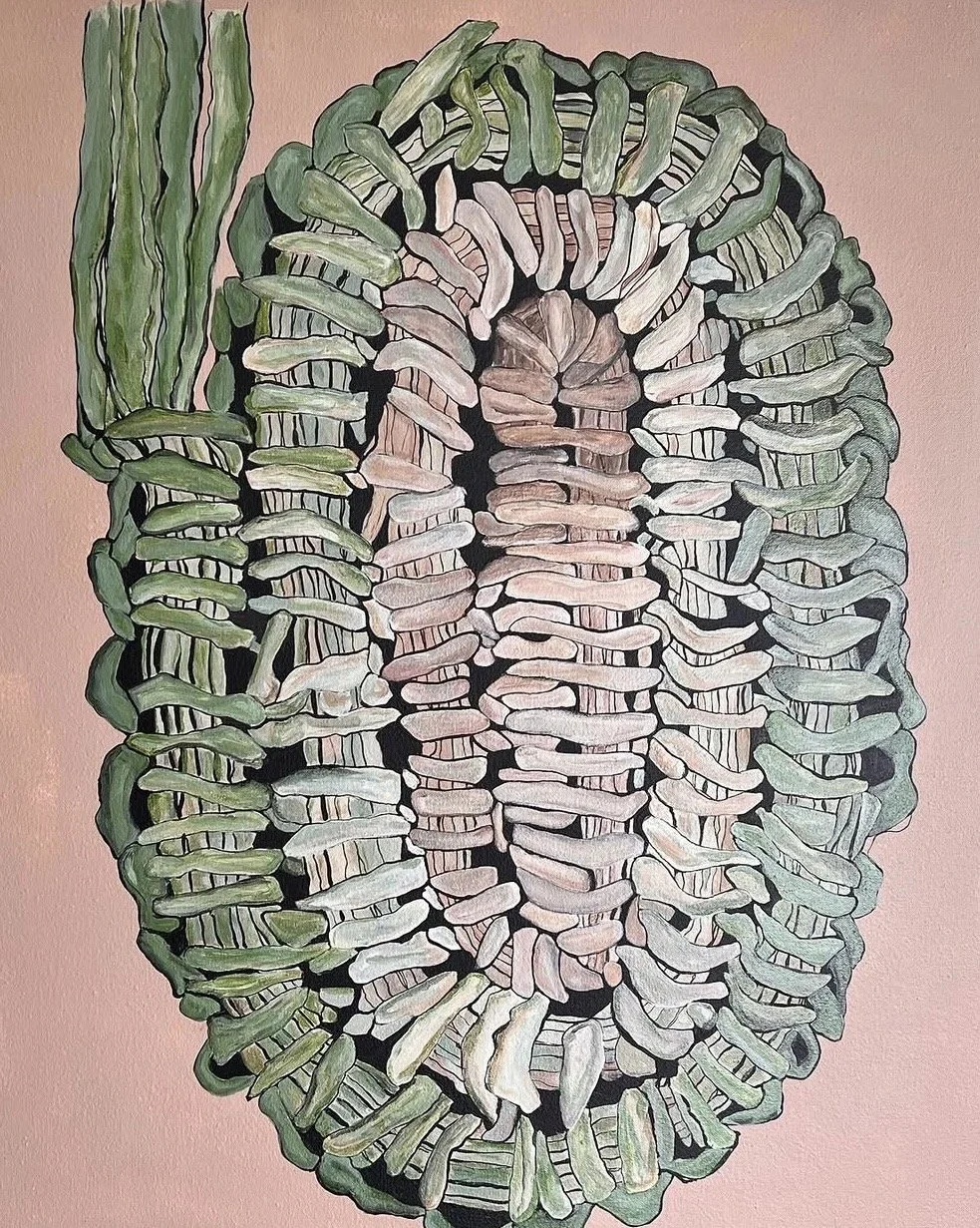 Kaurna Weave