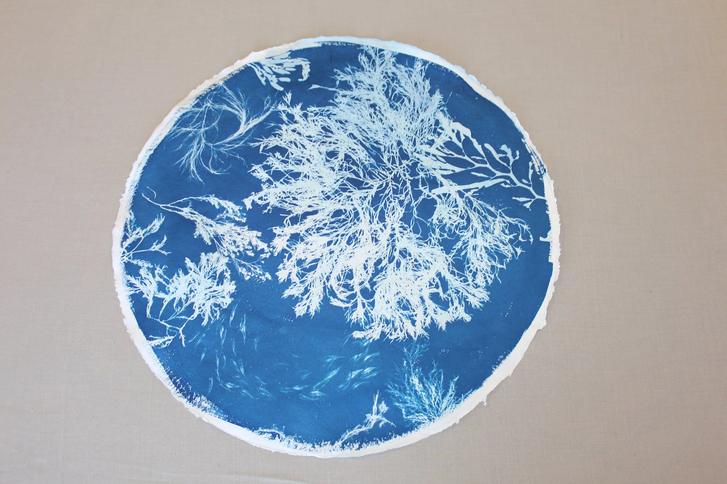 Oceanic Dreamscape Cyanotype Art -Silent Swirl