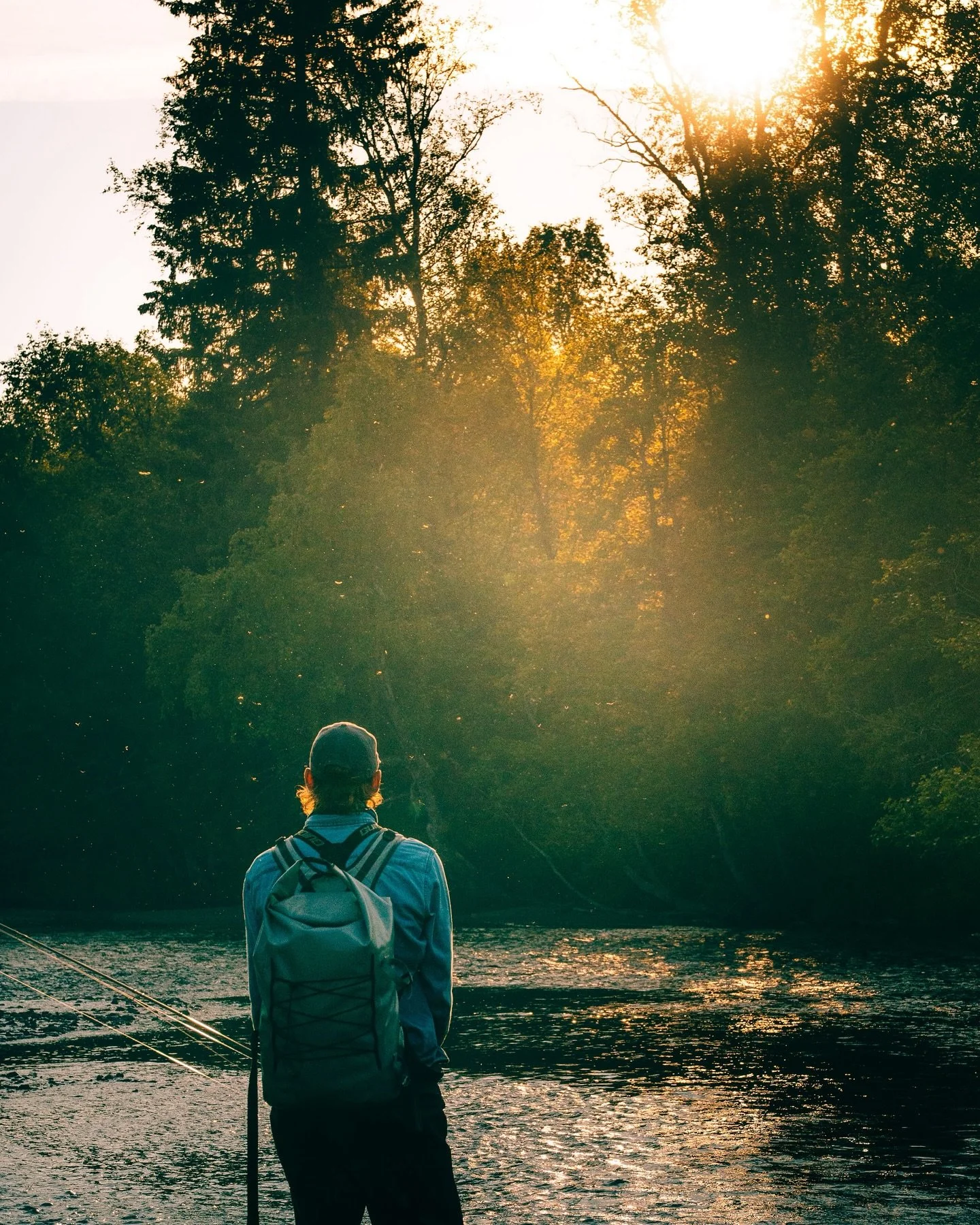 A quiet day in the valley. Just walking, looking around, finding new spots.
.
.
#flyfishingadventures #uteliv #outdoorphotography #flugfiske