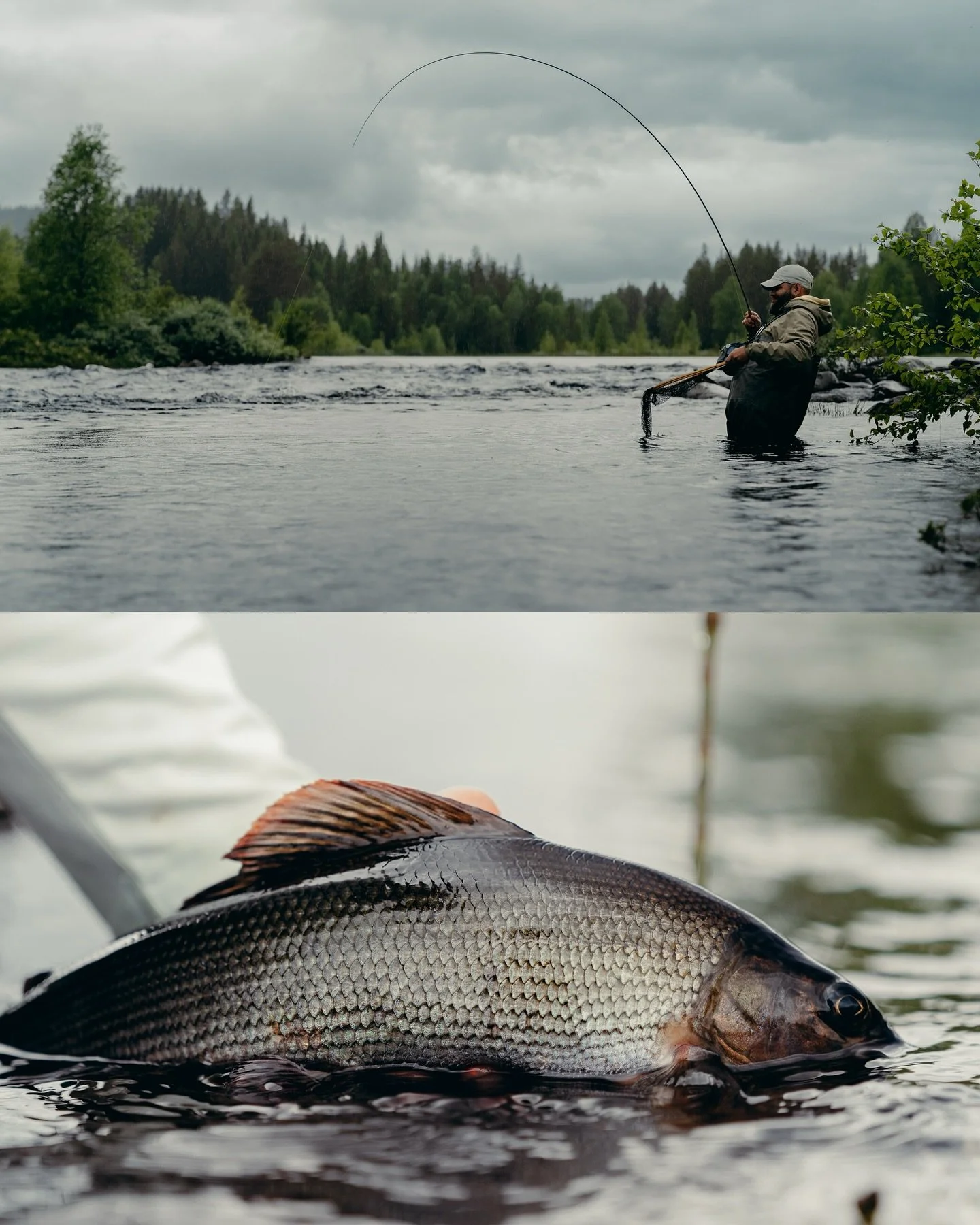 The family came up for a few days. We took a short trip north to start the summer season. Just time outside together. The kind of days that feel slow in the best way.
.
.
.
#flyfish #outdoorphotography #flugfiske #sweden_nature #sonyalpha
