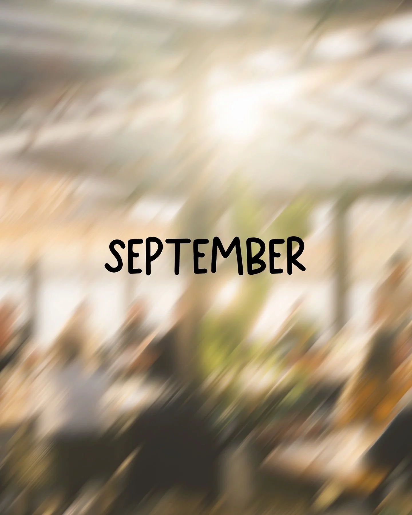 September samples 🖼️