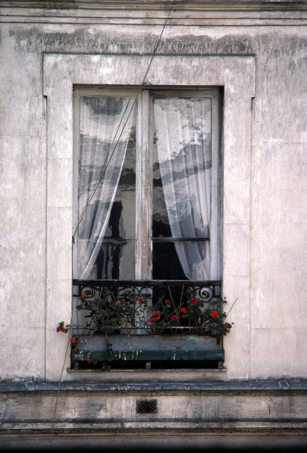  Paris Window            .       