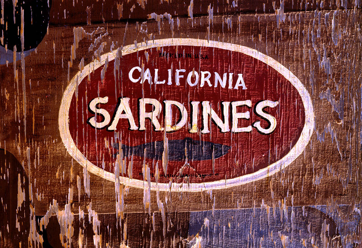  Sardines      .   