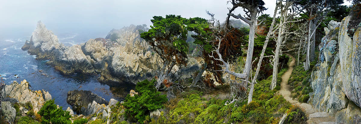  Point Lobos            . 