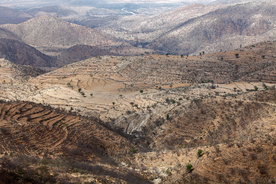  Landscape  Eritrea          . 