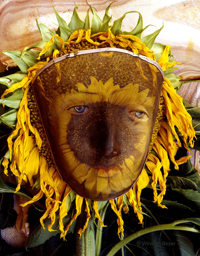  Sunflower Mask          . 