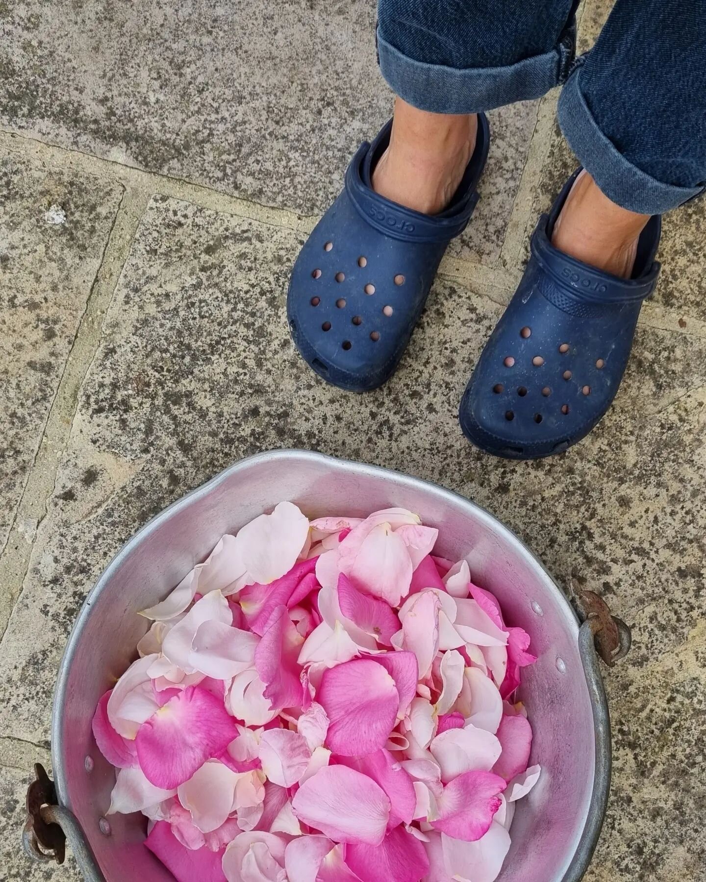 Petal Power 🌸⁠🪴 Excited to start botanical bundle dyeing for the new collection 🪡 ⁠ How cute is this cauldron, it was my grandmother's, would you believe she used to plant dye and make marmalade in it 🍯
⁠
#naturaldyes #thepopsandloway #plantdyein