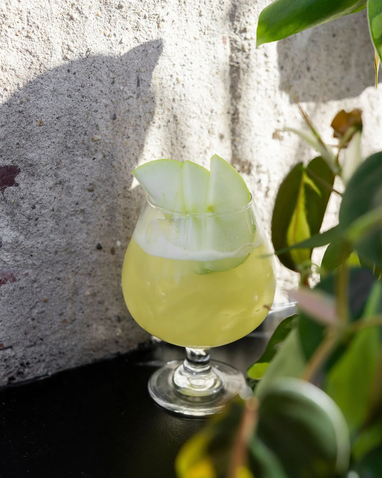 Mexican Restaurant 🌮 Paraiso Taquería y Mezcalería