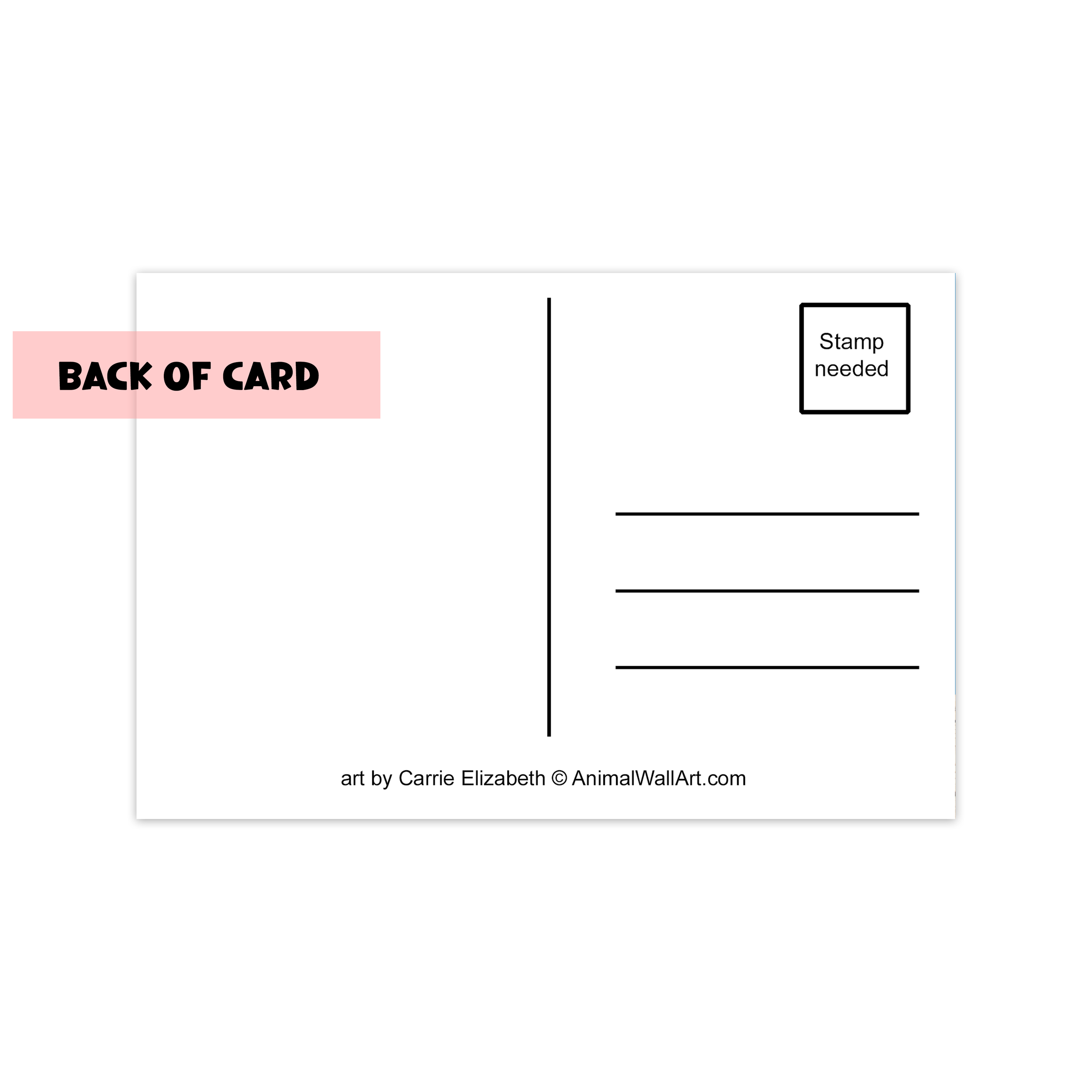 back of postcard.png
