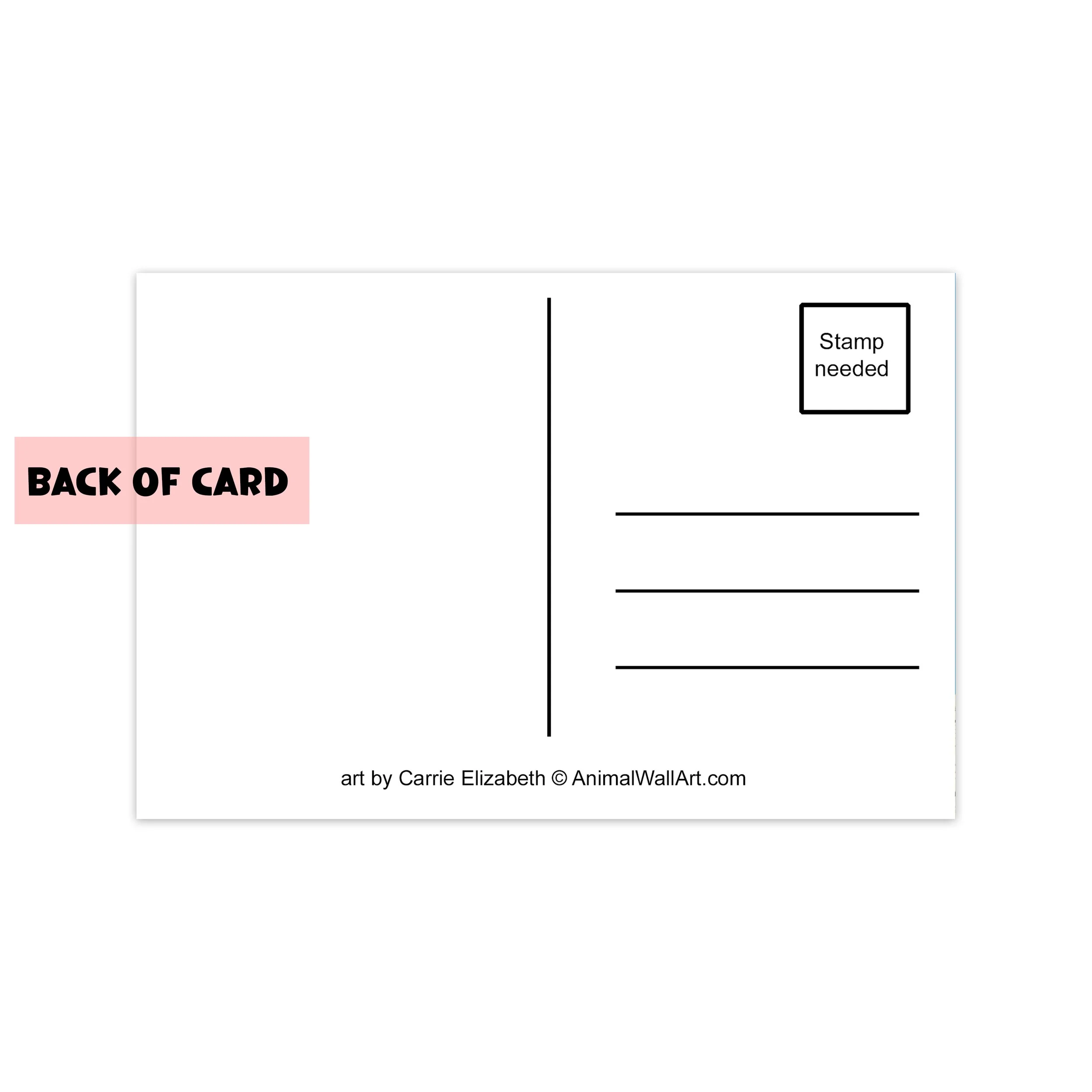Postcard Back.jpg