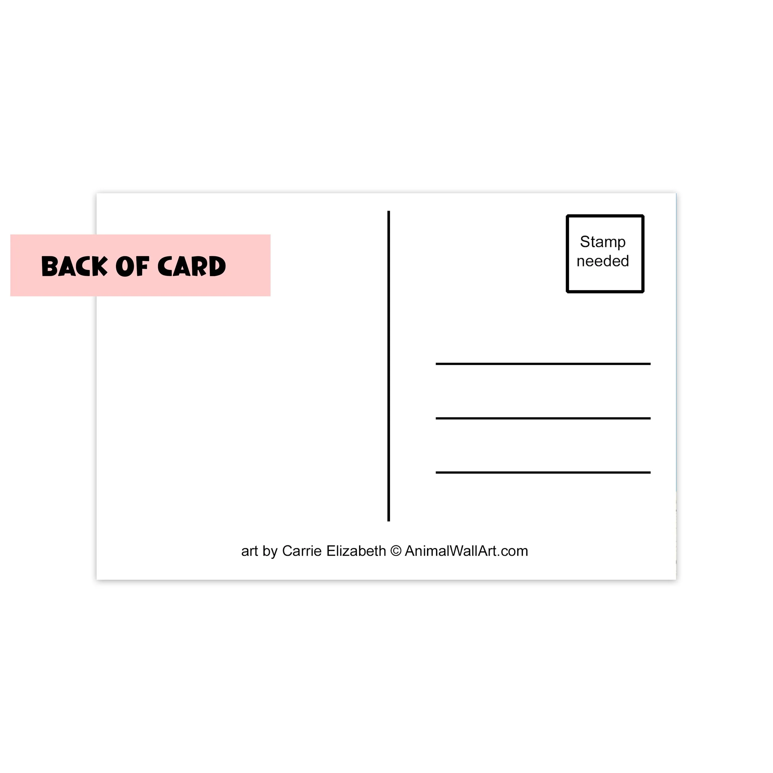 postcard back 12.jpg