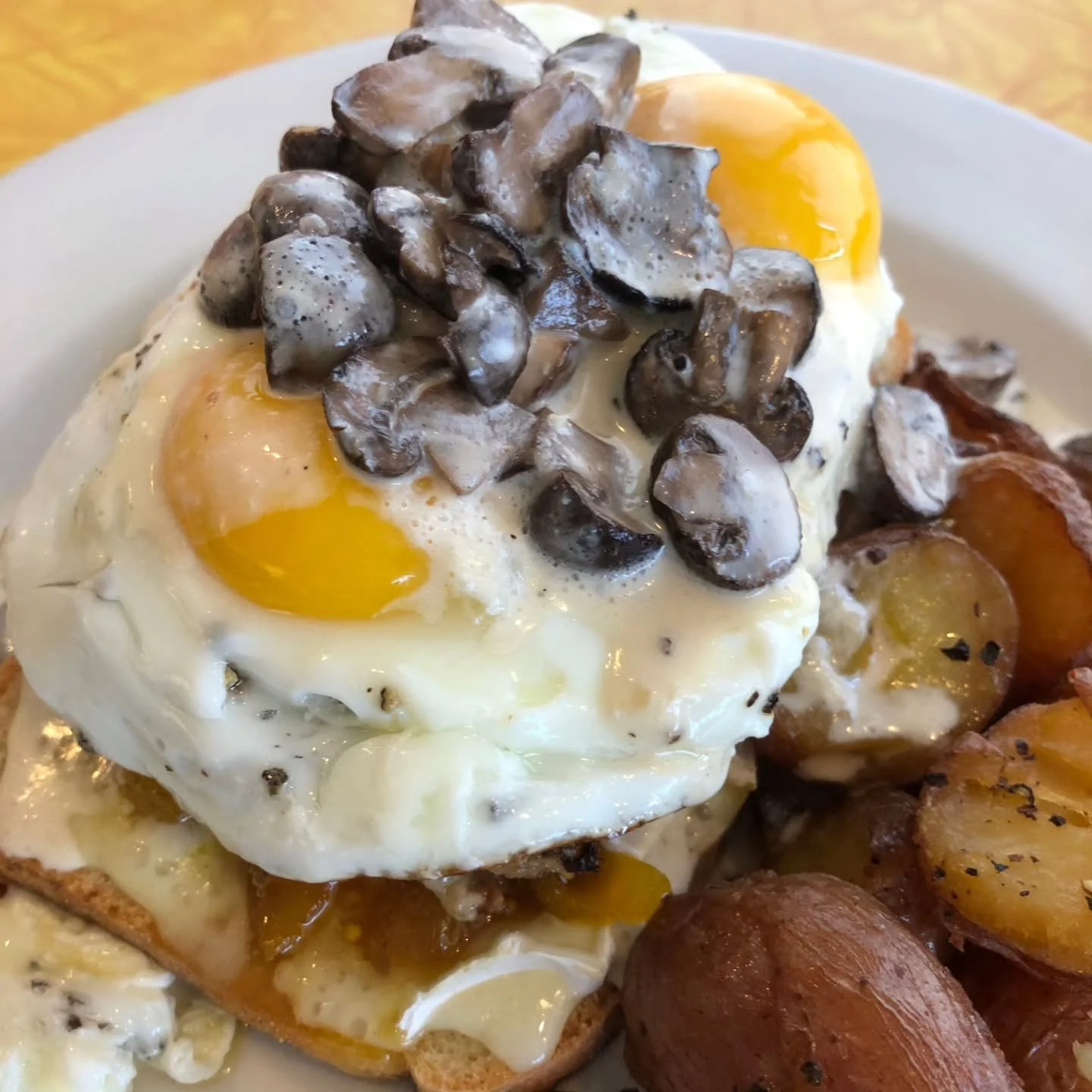 Hidden underneath these eggs/mushrooms is our lamb meatloaf on housemade bread! Come see for yourself today from 8-1pm. If not today, you'll have to wait til next week as we are closed tomorrow (Sun Oct 5). #2stardinerfansplanahead #psstpassiton