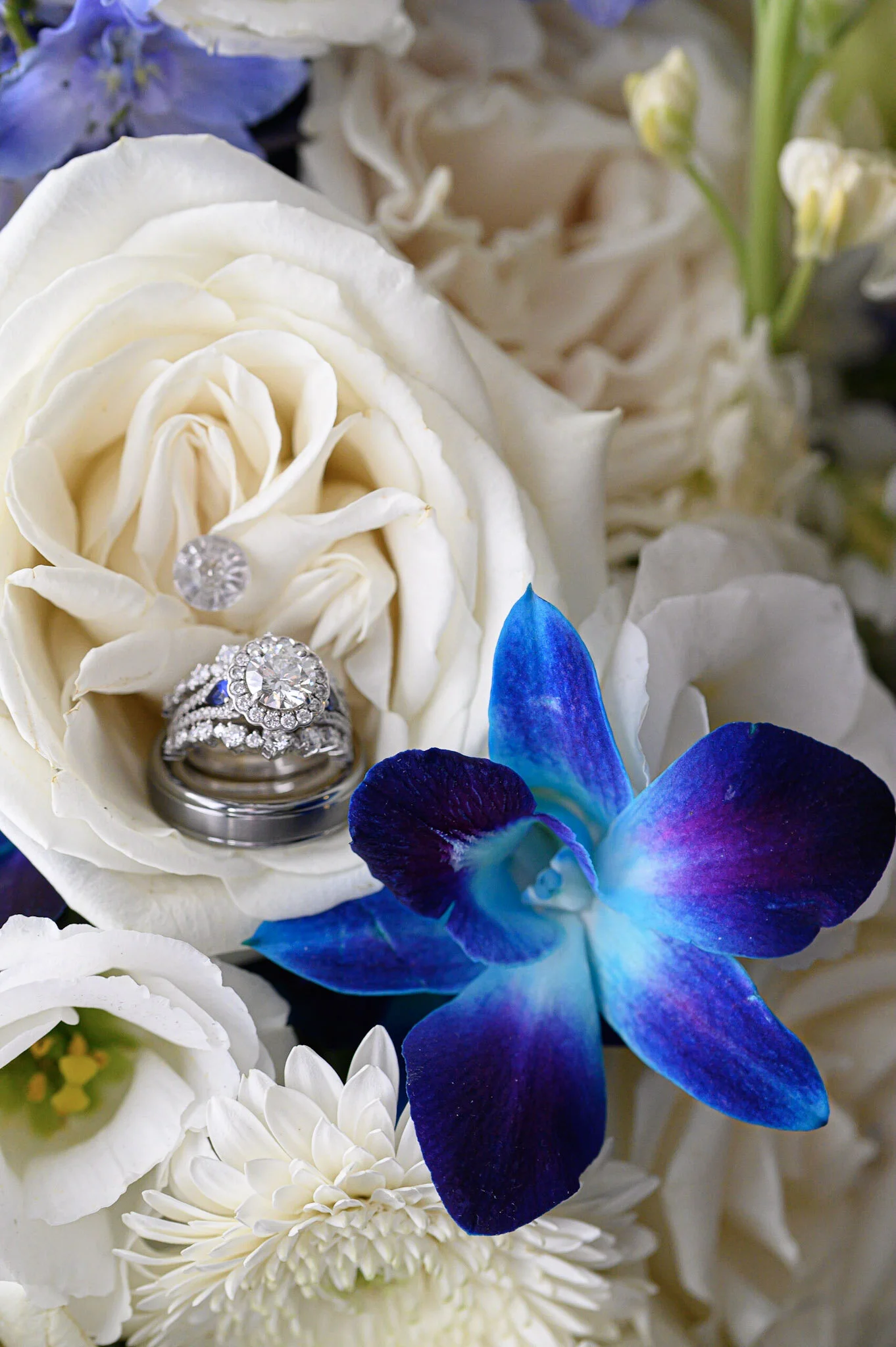 5-Sam Fischer wedding_Jamie Levine Photography-25.jpg