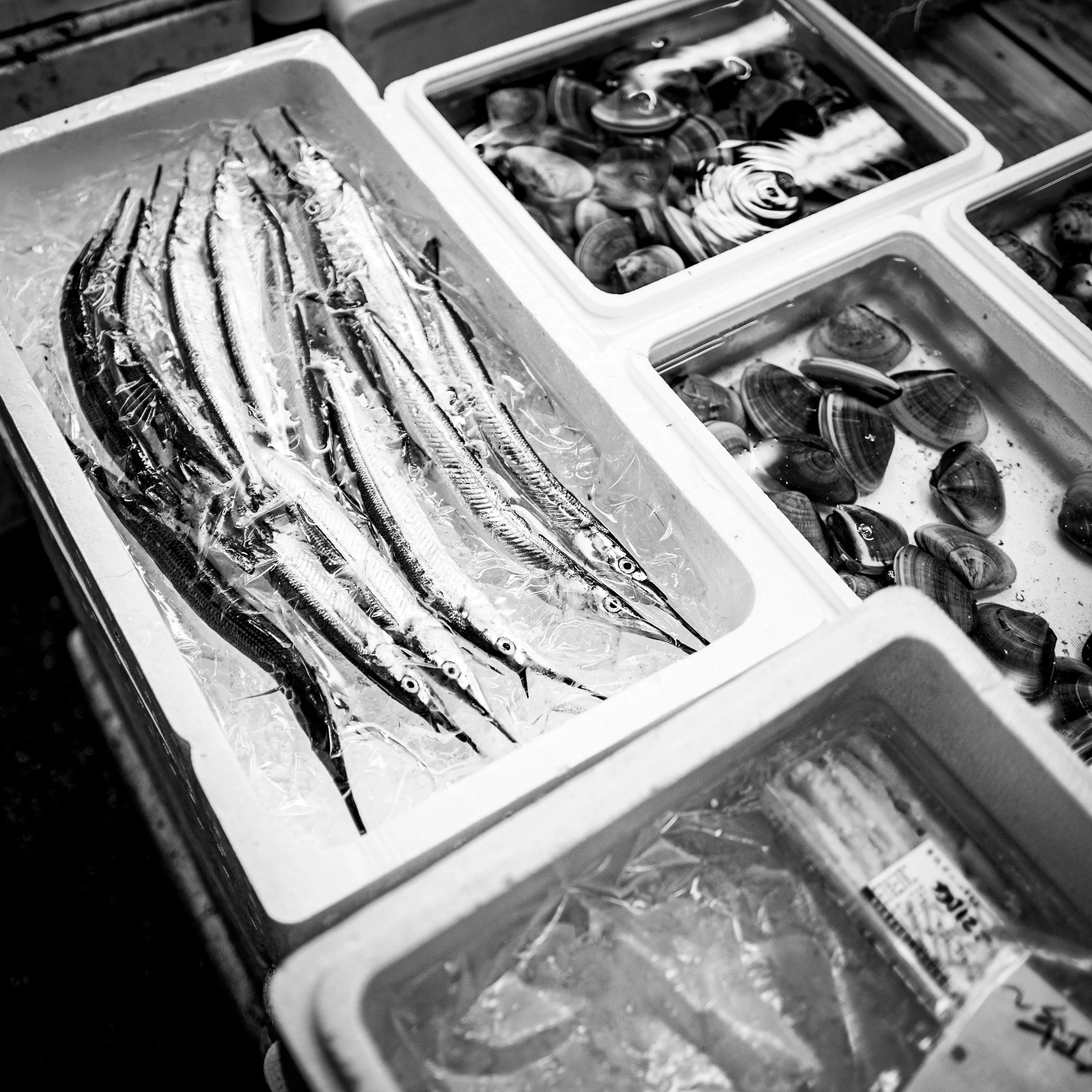 TSUKIJI_FINAL_TIFFS-INNER-11.jpeg