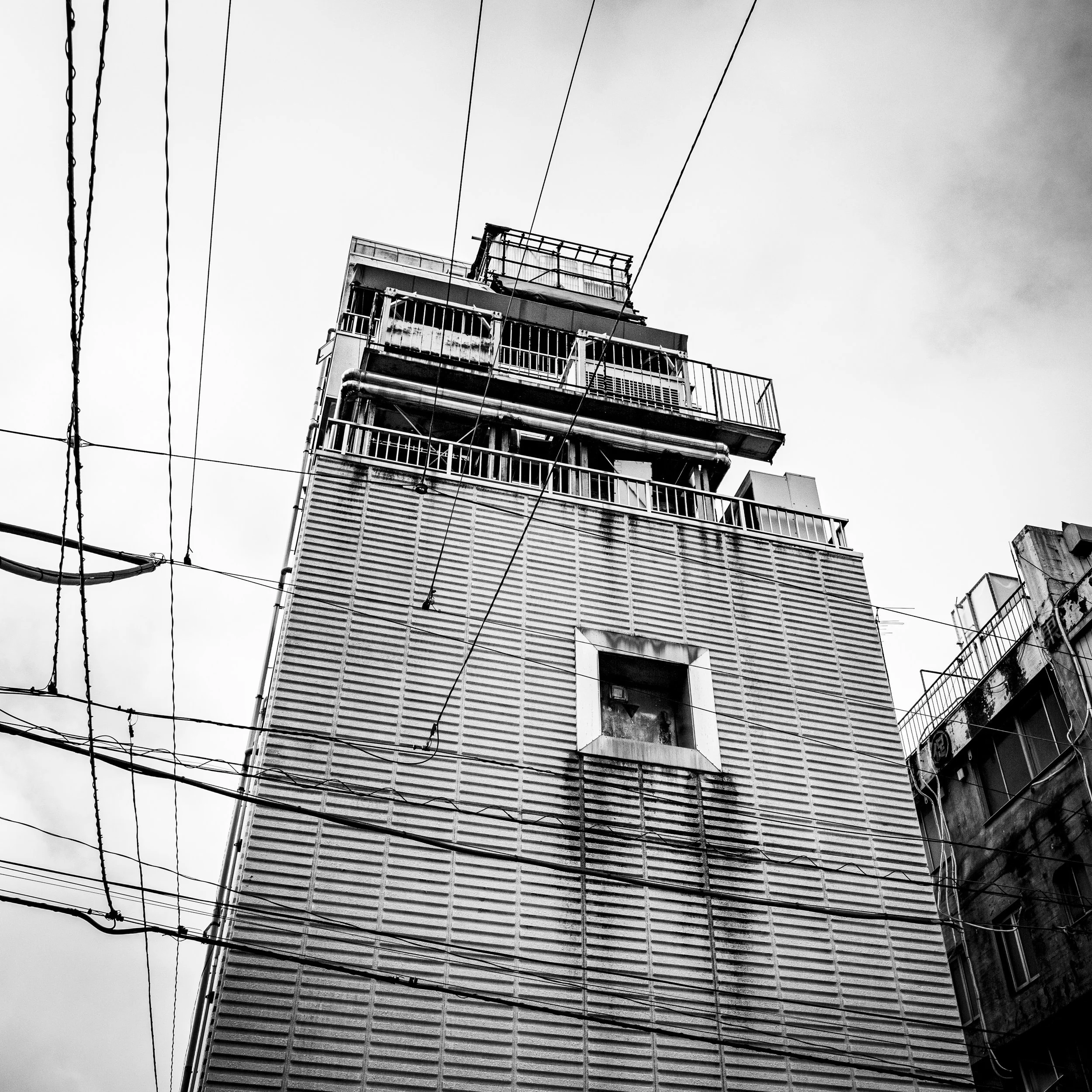TSUKIJI_FINAL_TIFFS-OUTER-13.jpeg