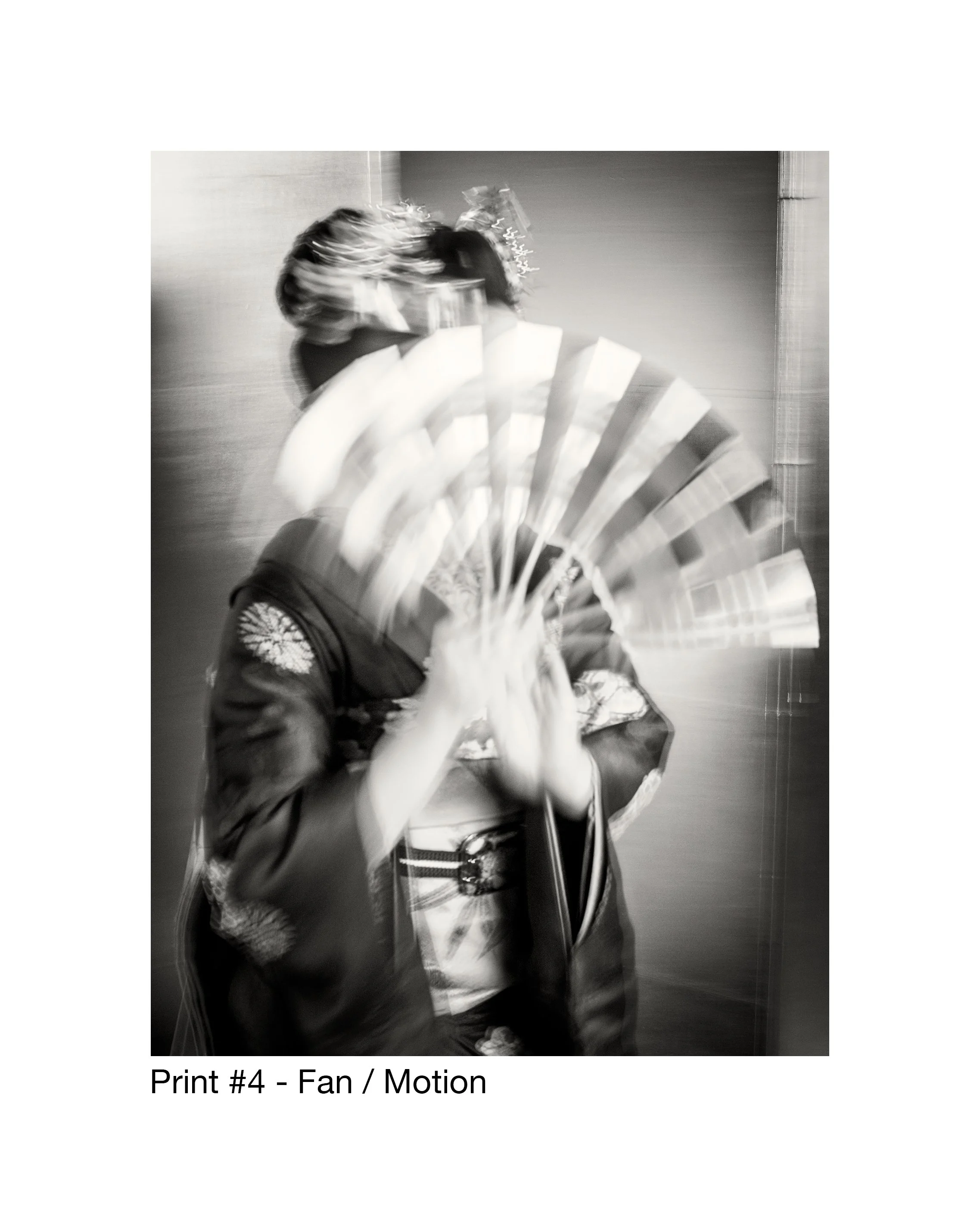 Print-4--Fan-Motion.jpg