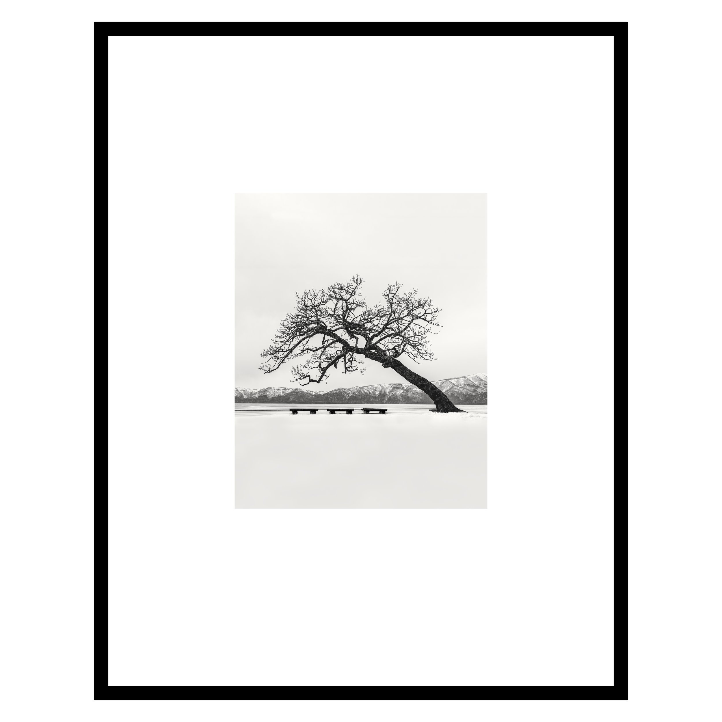 ipos12framed.jpg