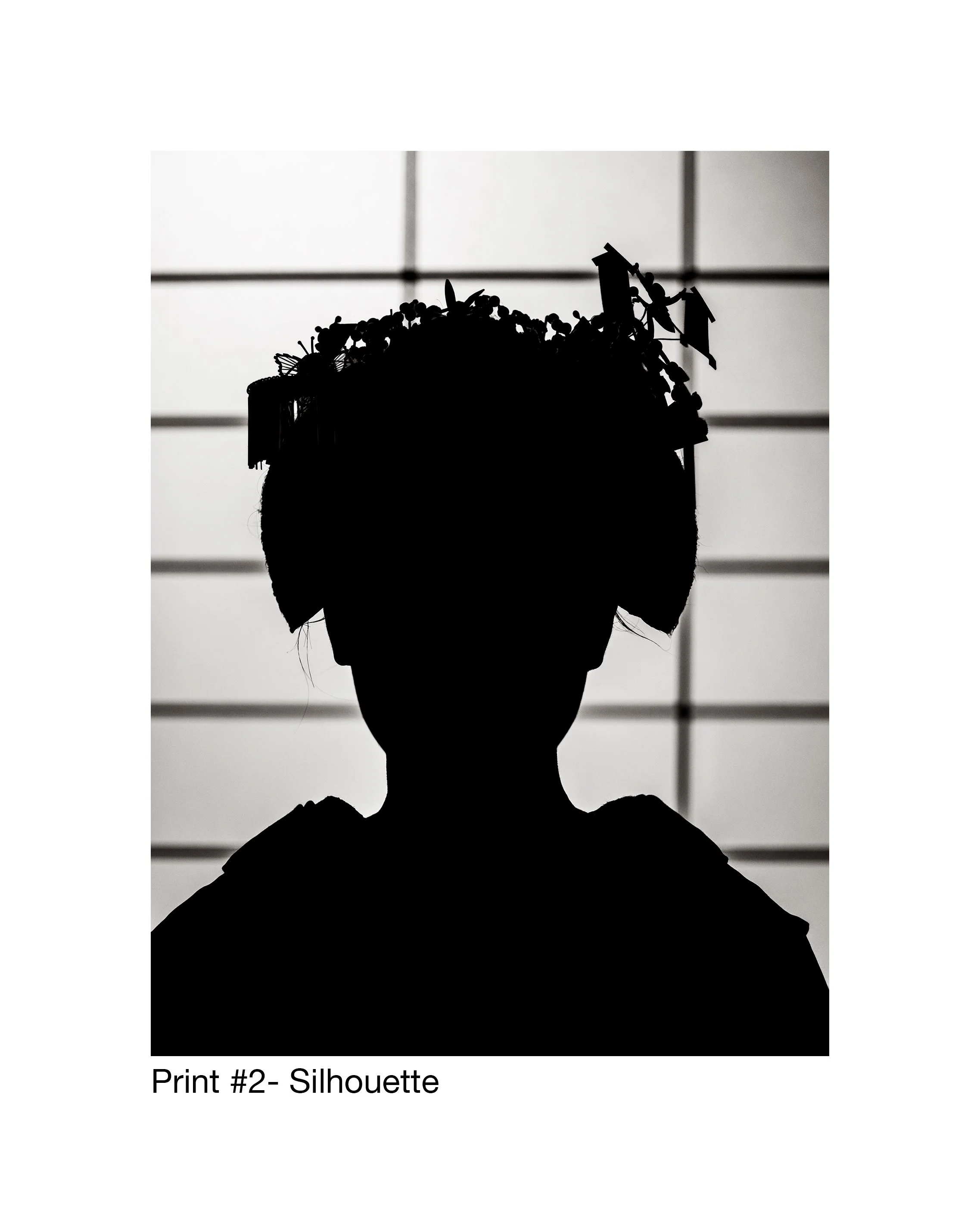 Print-2-Silhouette.jpg