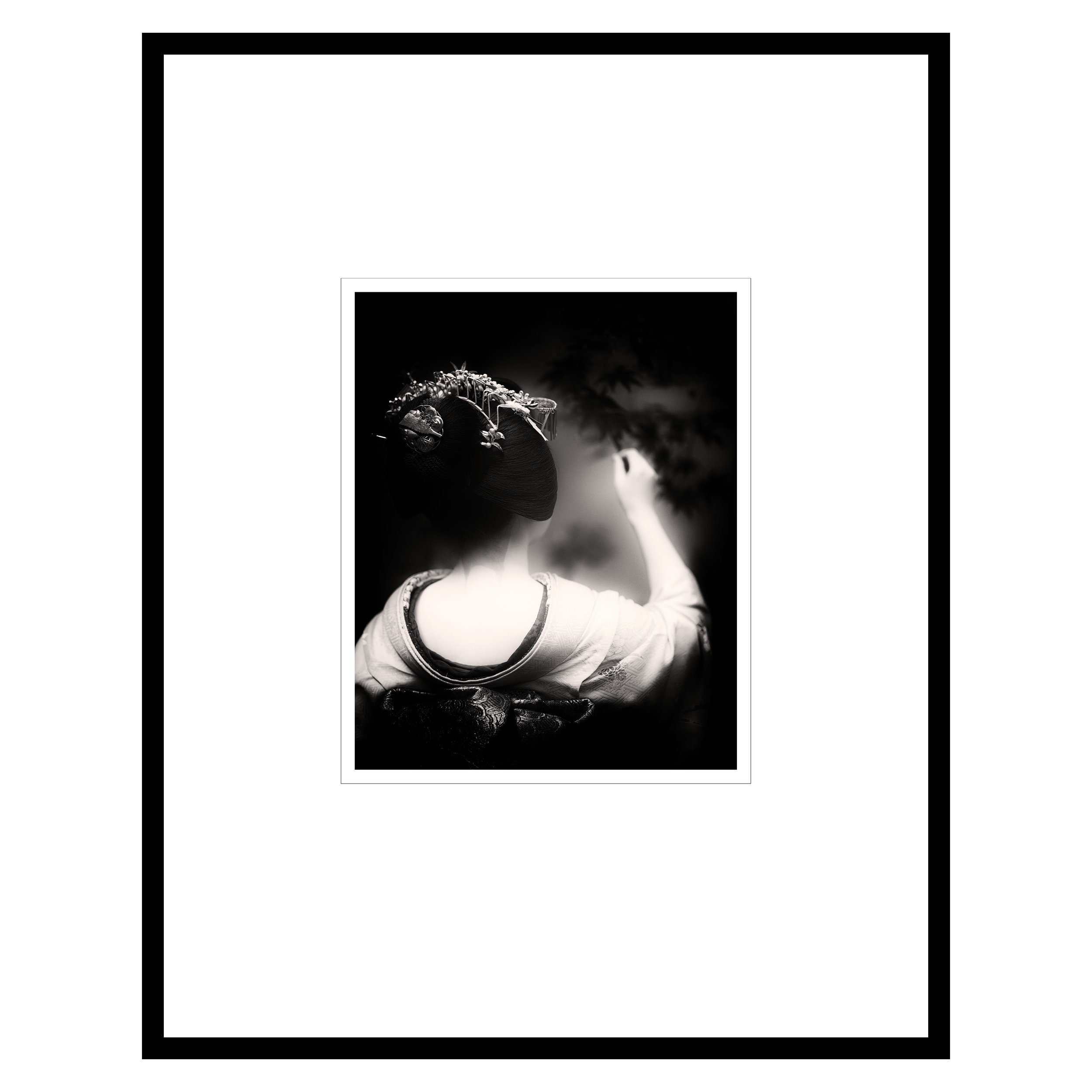 pom3framed_sq.jpg