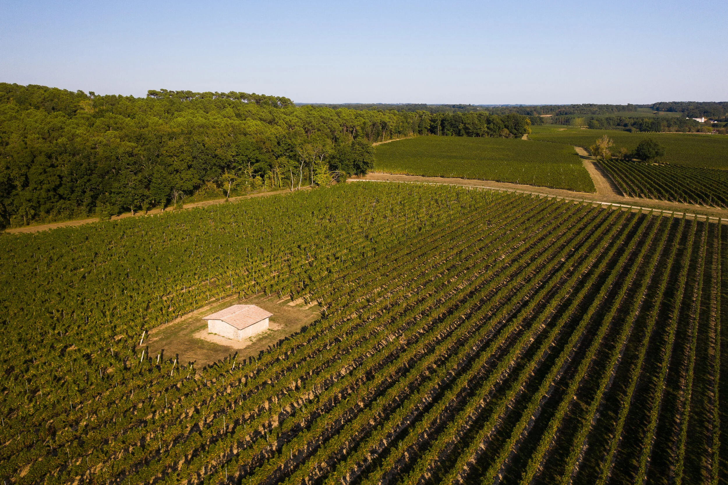 16092020-DJI_0820.jpg