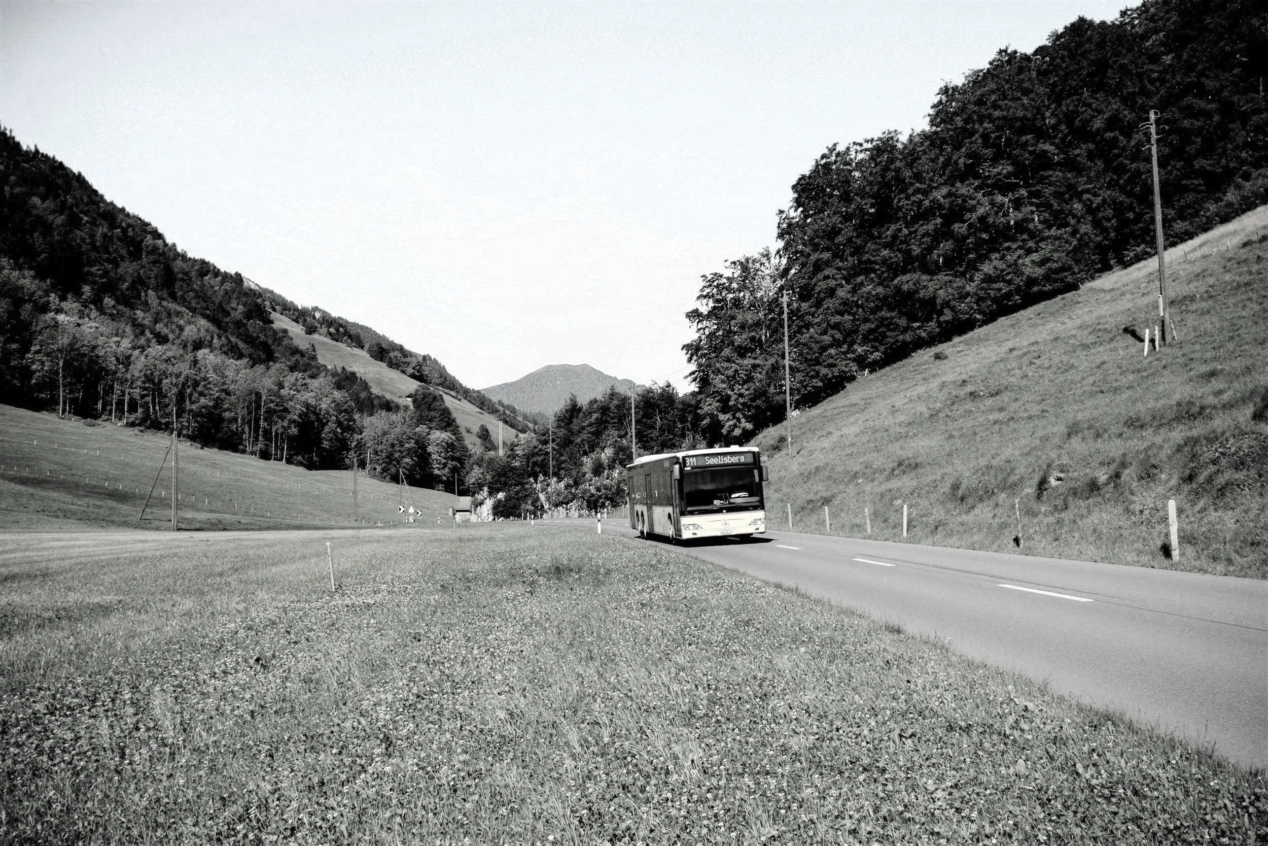 How to make a Mini Switzerland: your cut out ’n’ keep guide