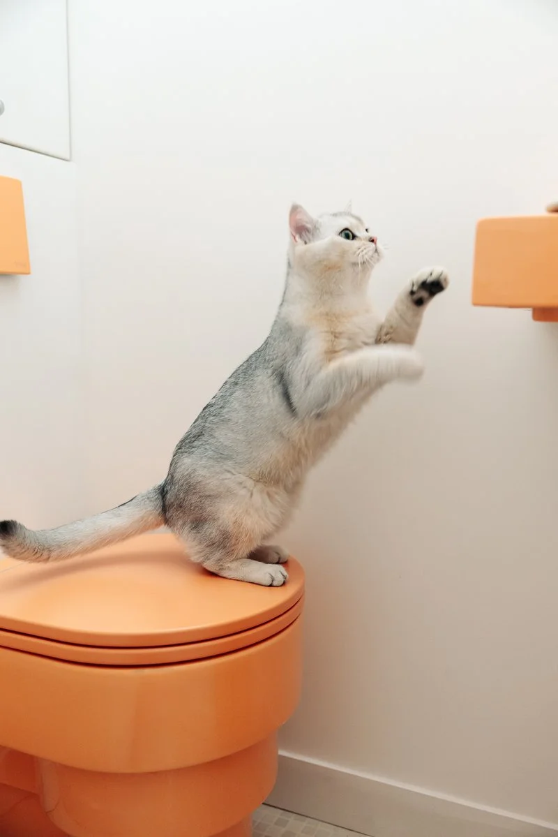 11-MB_Ménilmontant II_CG_6691.jpg