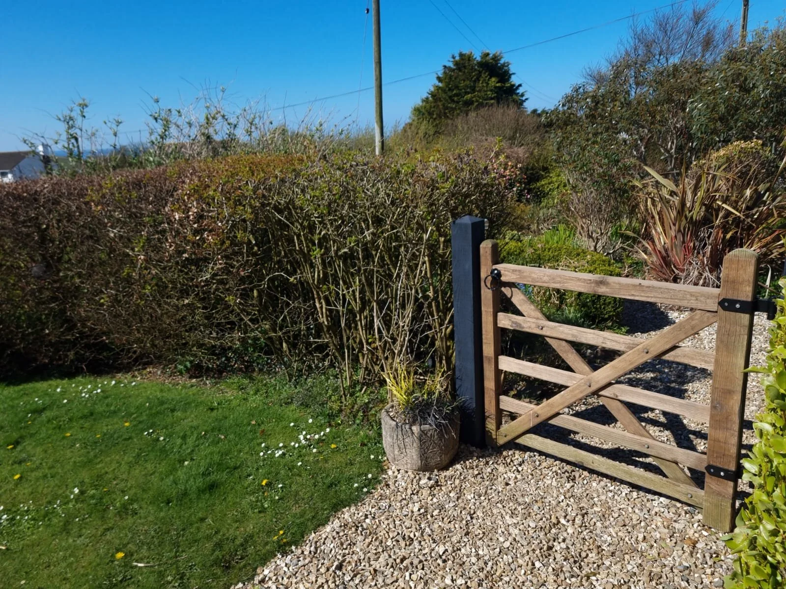 WhatsApp Image 2021-04-20 at 15.13.28.jpeg