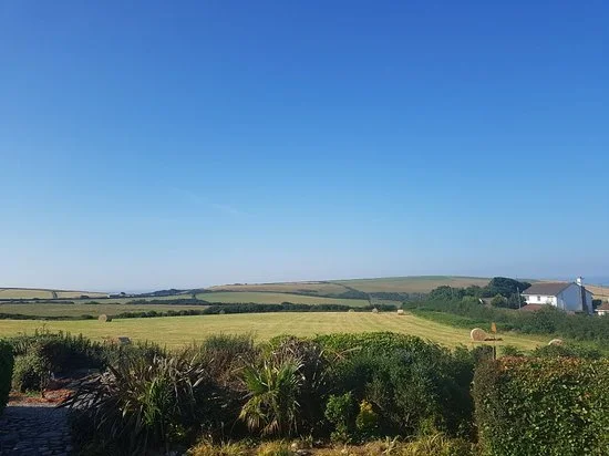 WhatsApp Image 2020-09-21 at 10.13.41.jpeg