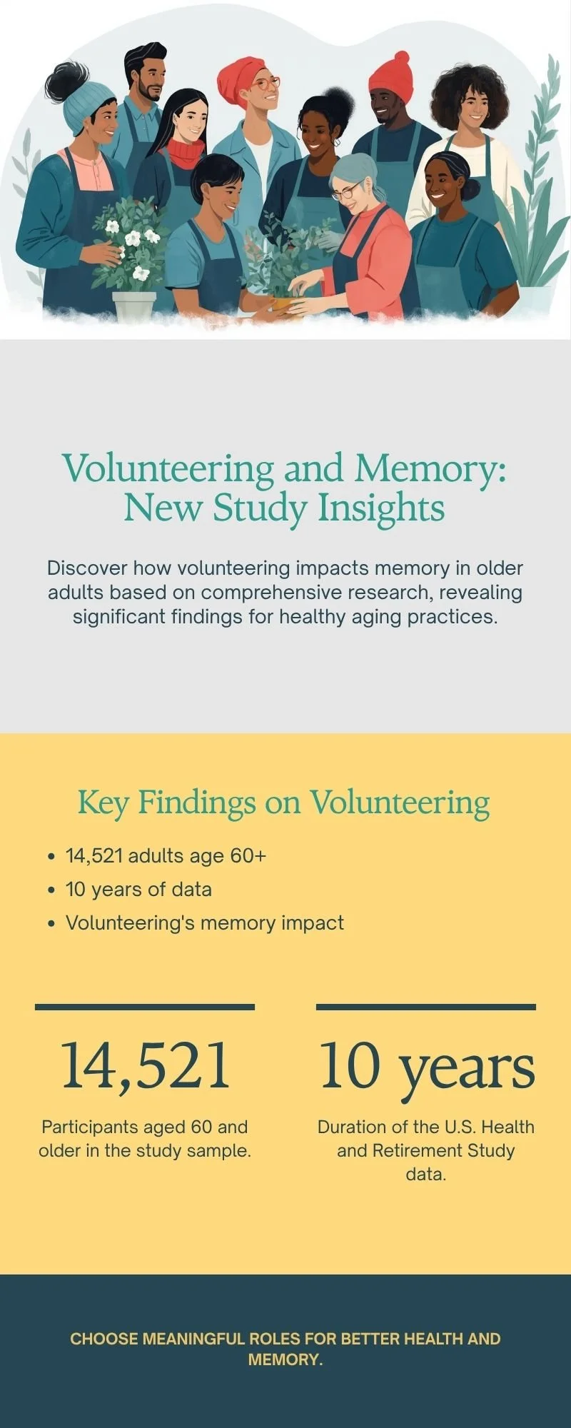 Editorial infographic summarizing a 10-year U.S. study of 14,521 adults age 60 and older: volunteering predicted better later objective memory, but the observational study does not prove that volunteering prevents dementia.