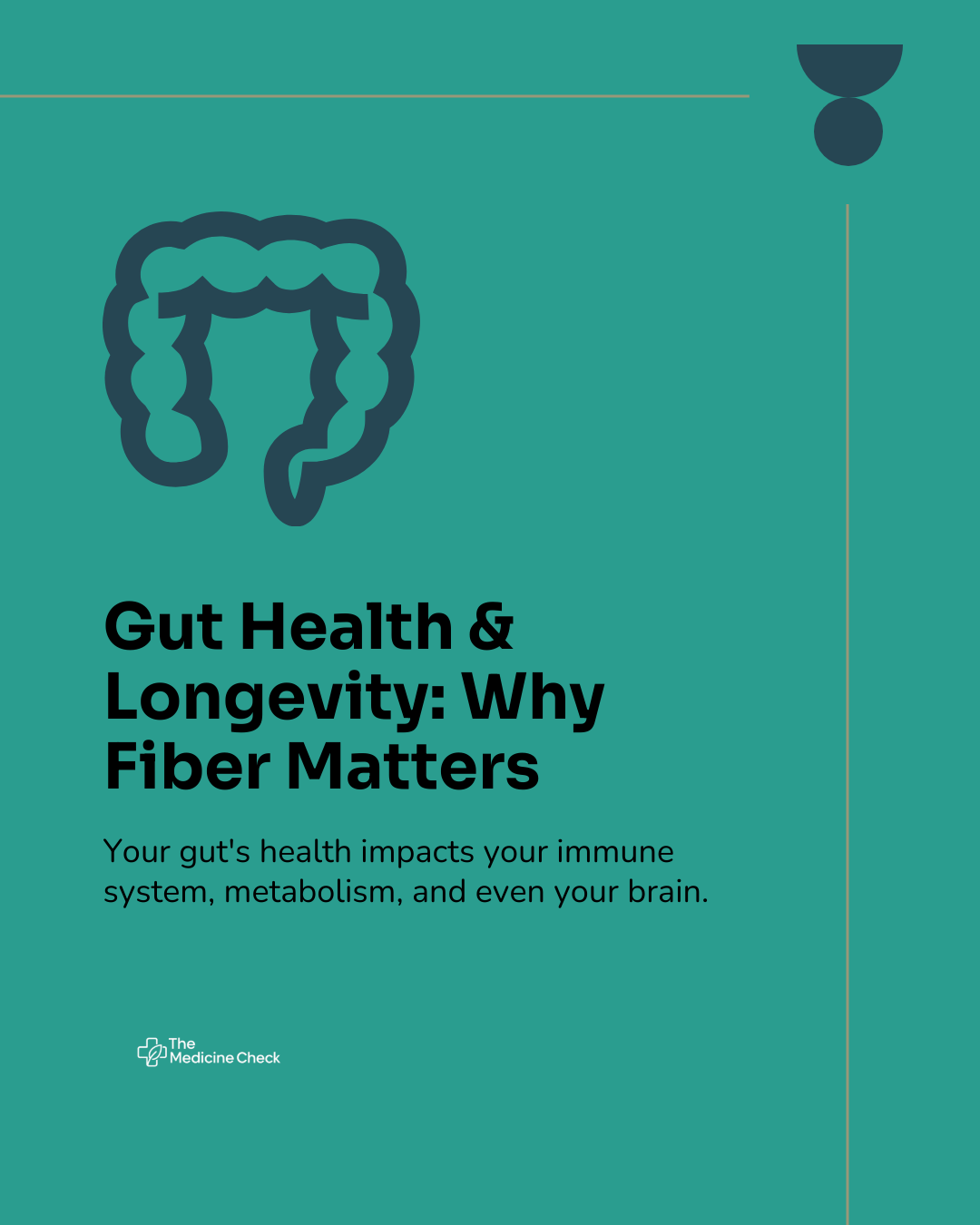 Gut Health and Longevity: Why Fiber Matters More Than You Think