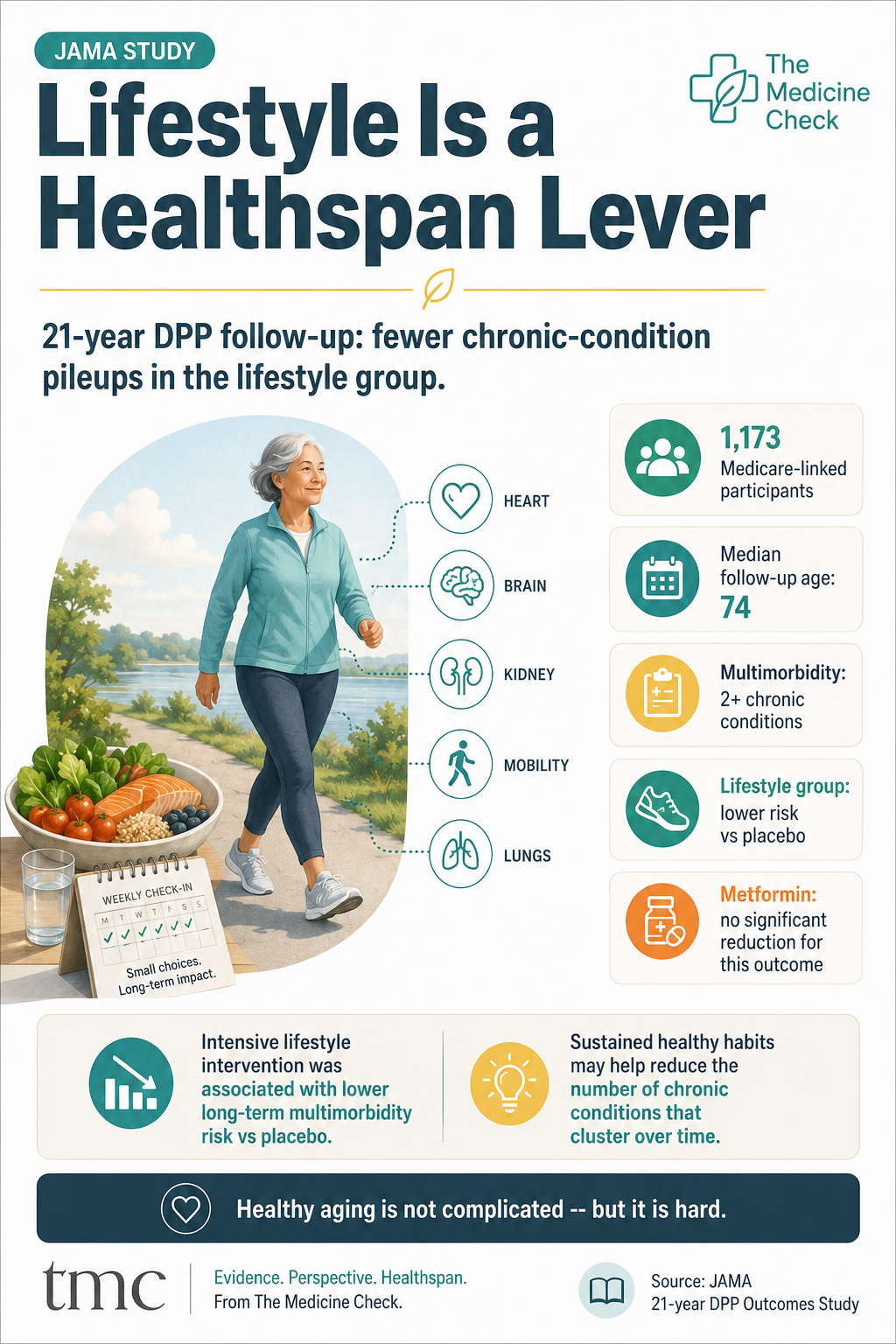 Lifestyle Is a Healthspan Lever