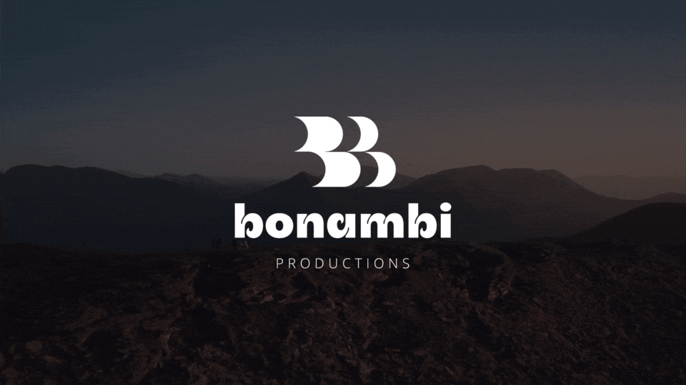 BONAMBI