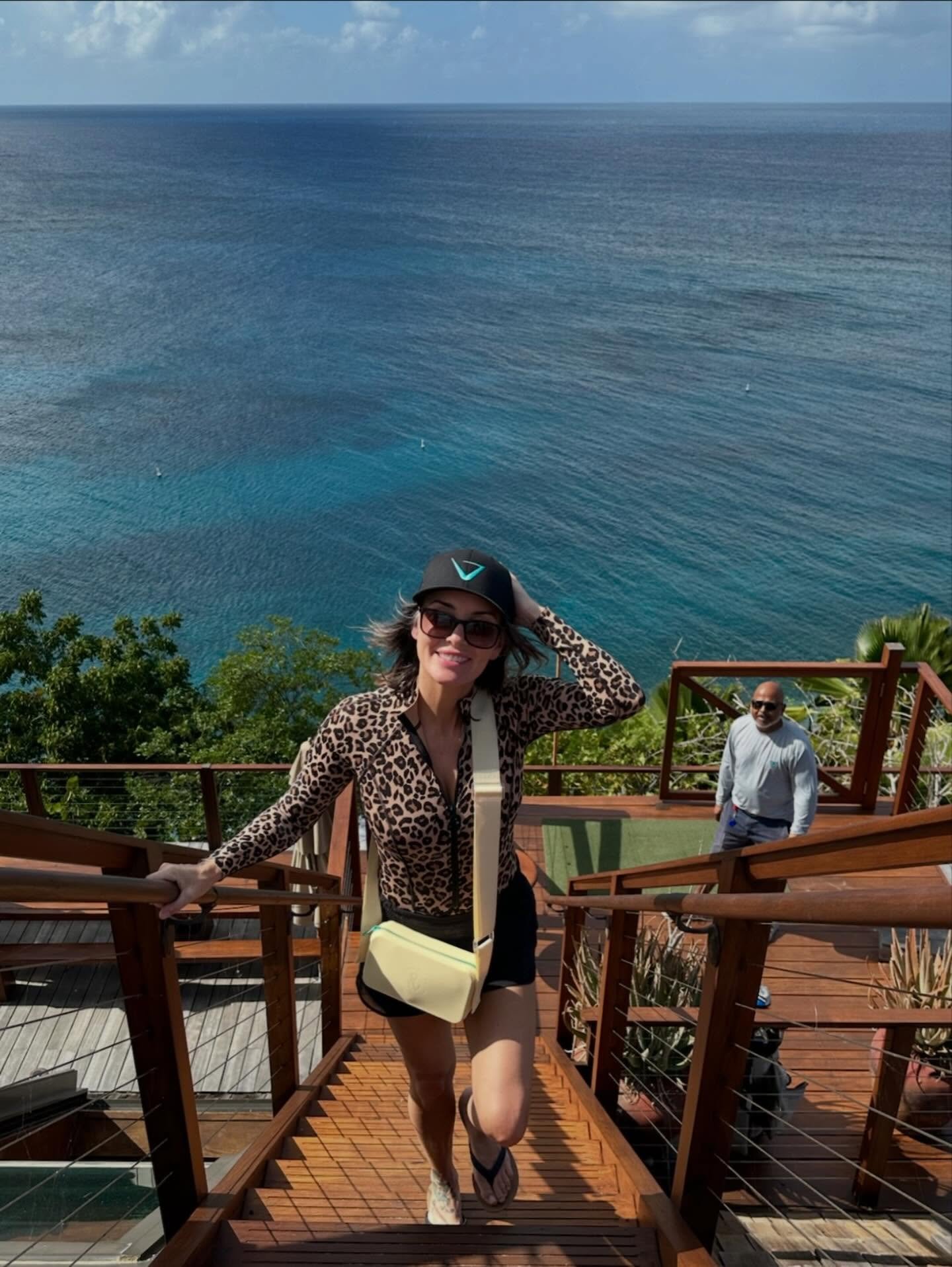 It&rsquo;s all just &ldquo;in your backyard&rdquo; when you&rsquo;re at Pallina 🌴☀️🏖️ #neckerisland #magensbay #sabarock #bitterendyachtclub @voodoo_vi