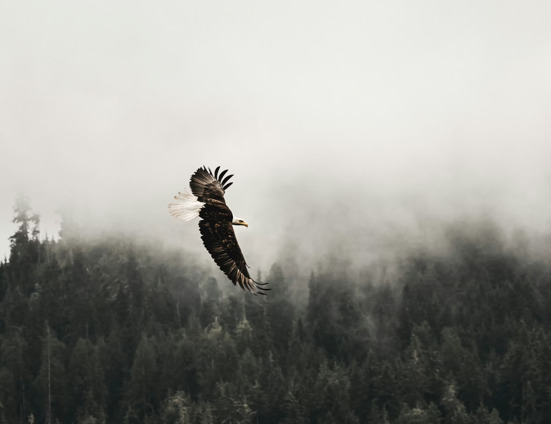 Charlie Kirk vs Crypto-Fiat