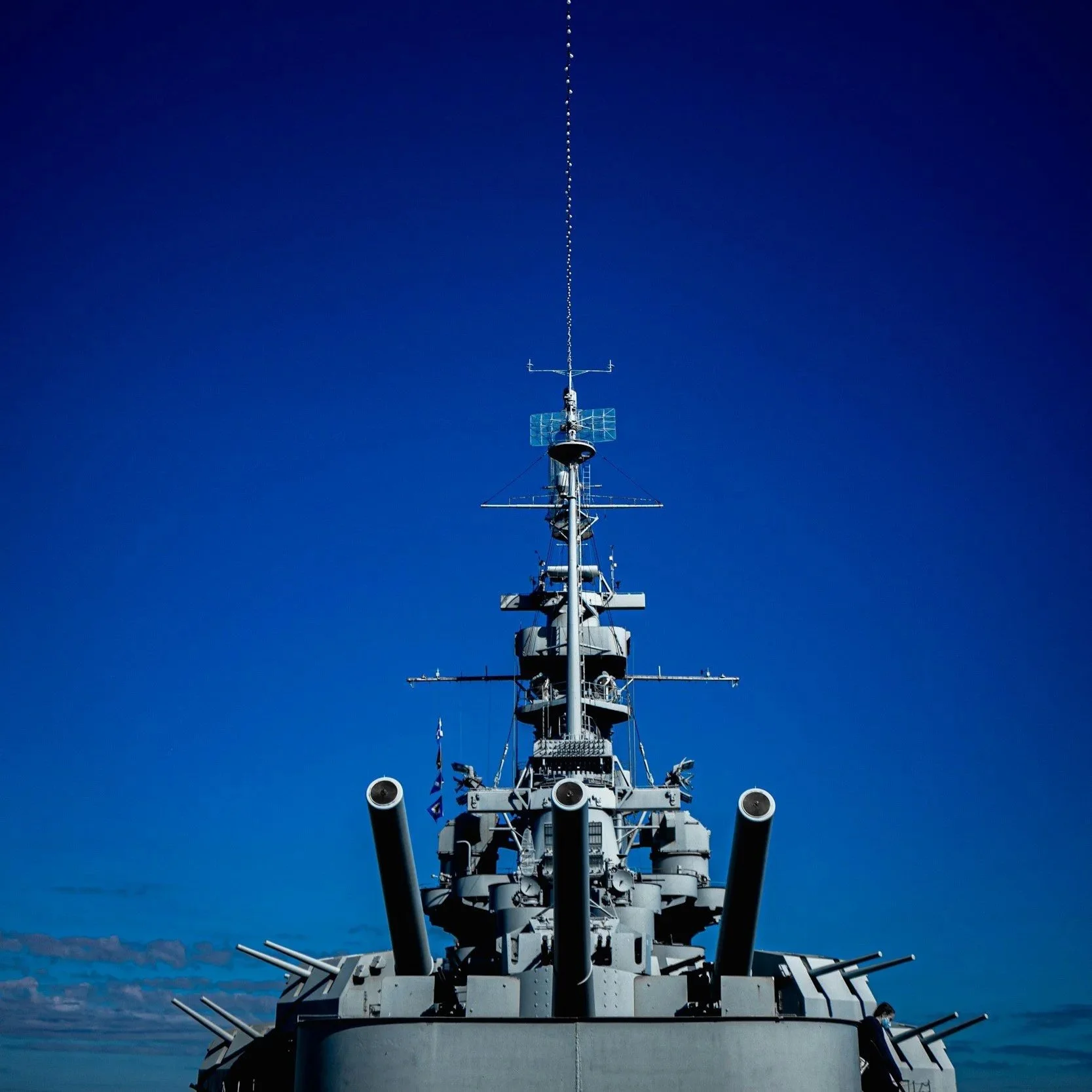 America First Principles Only