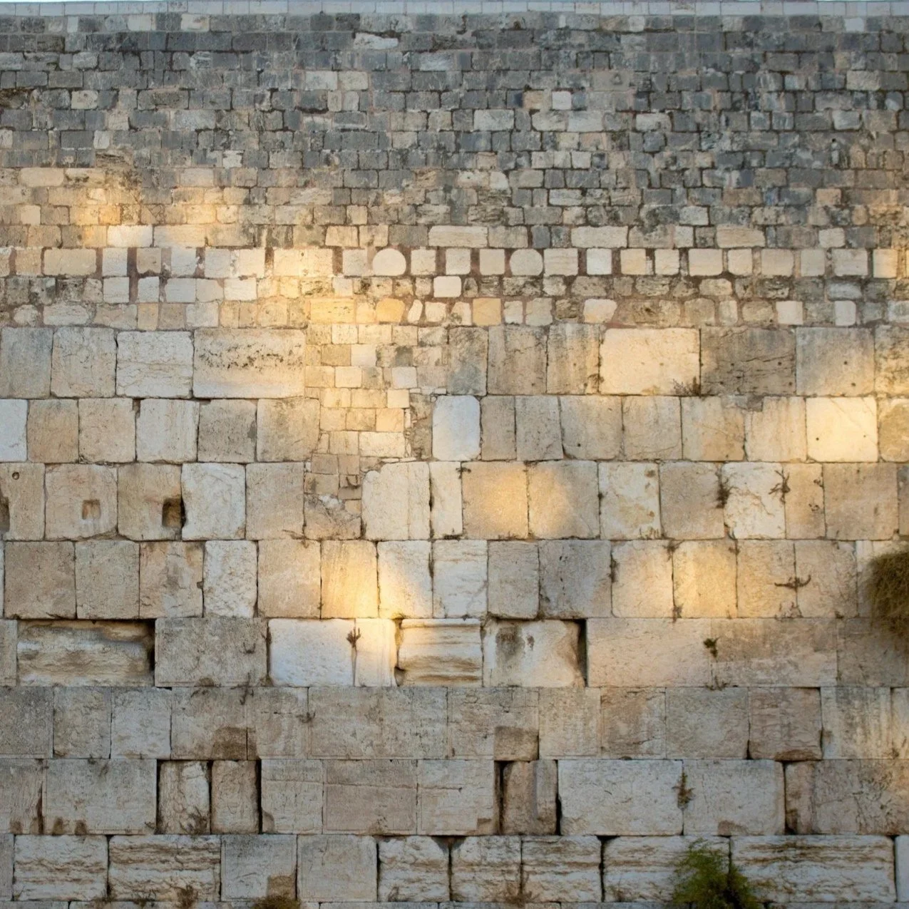 The IN-GROUP Dilemma