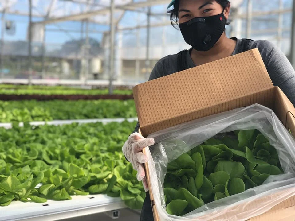 Natalia and Lettuce.jpg