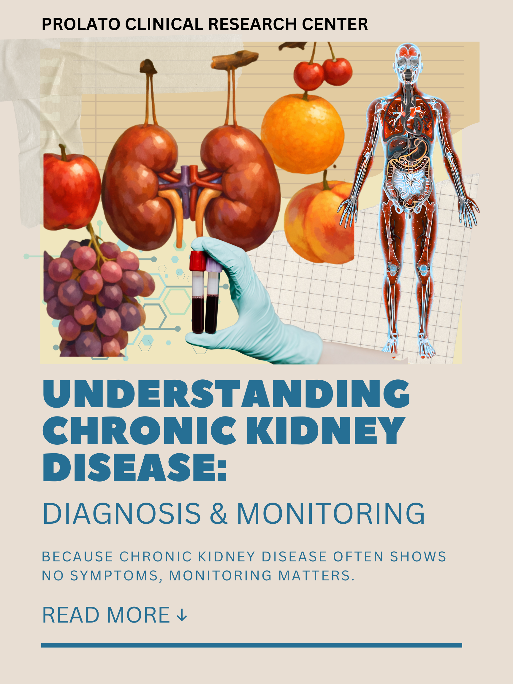 Chronic Kidney Disease: The Fragile Balance Within