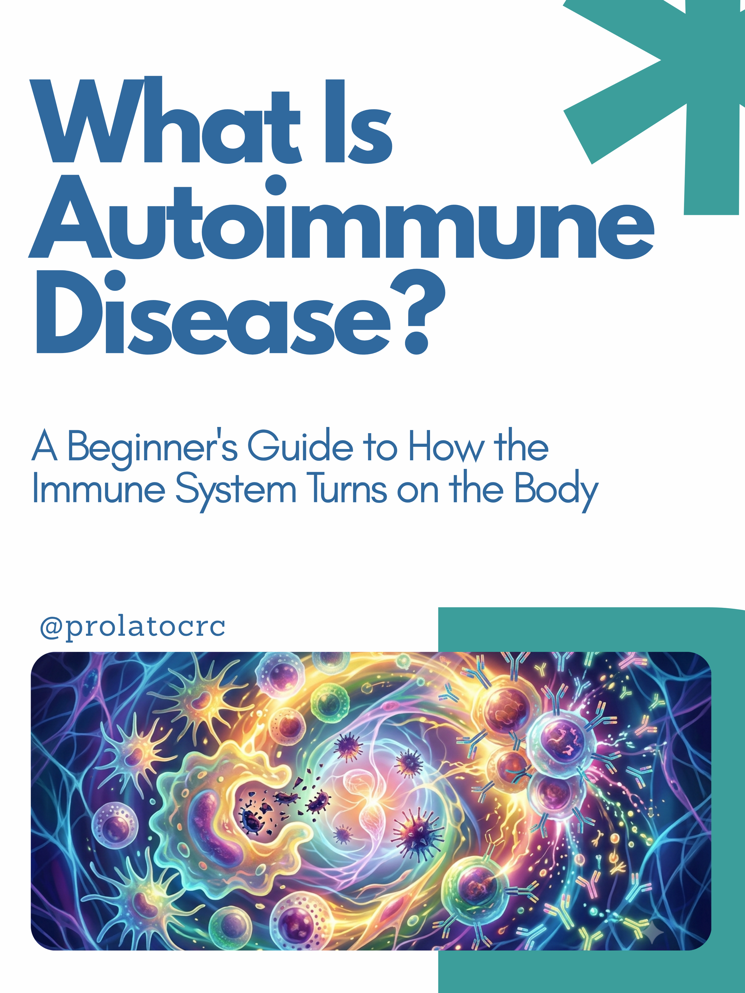 A Beginner's Guide to How the Immune System Turns on the Body