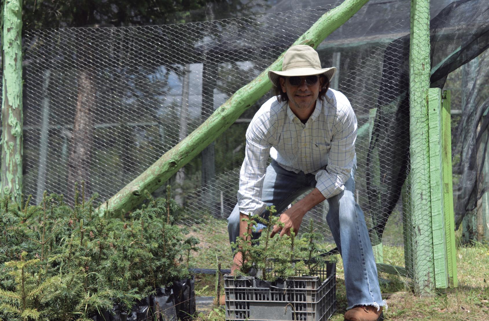 FUNDACIÓN IOS OFFICES - DÍA DEL PINO