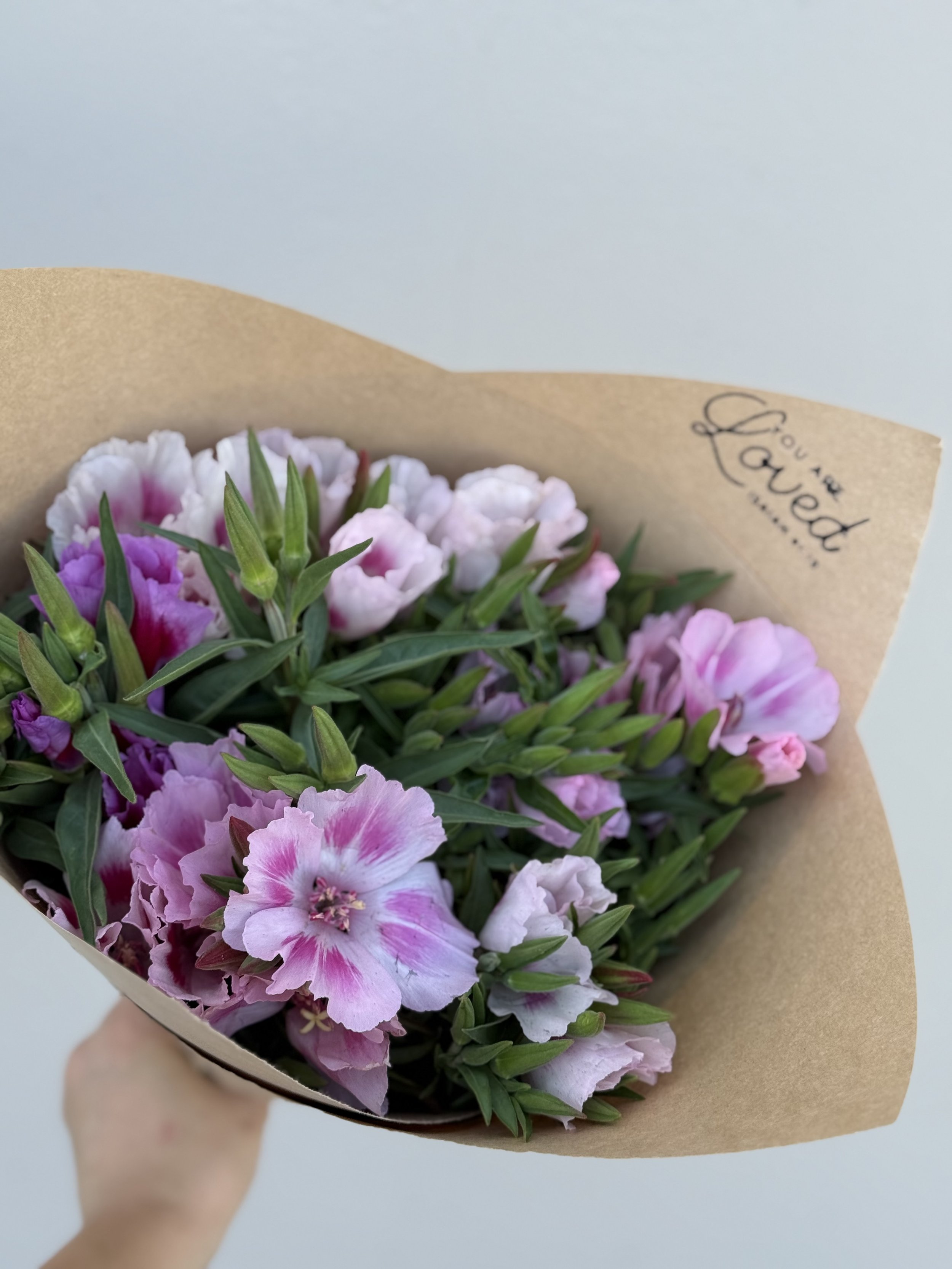 Godetia