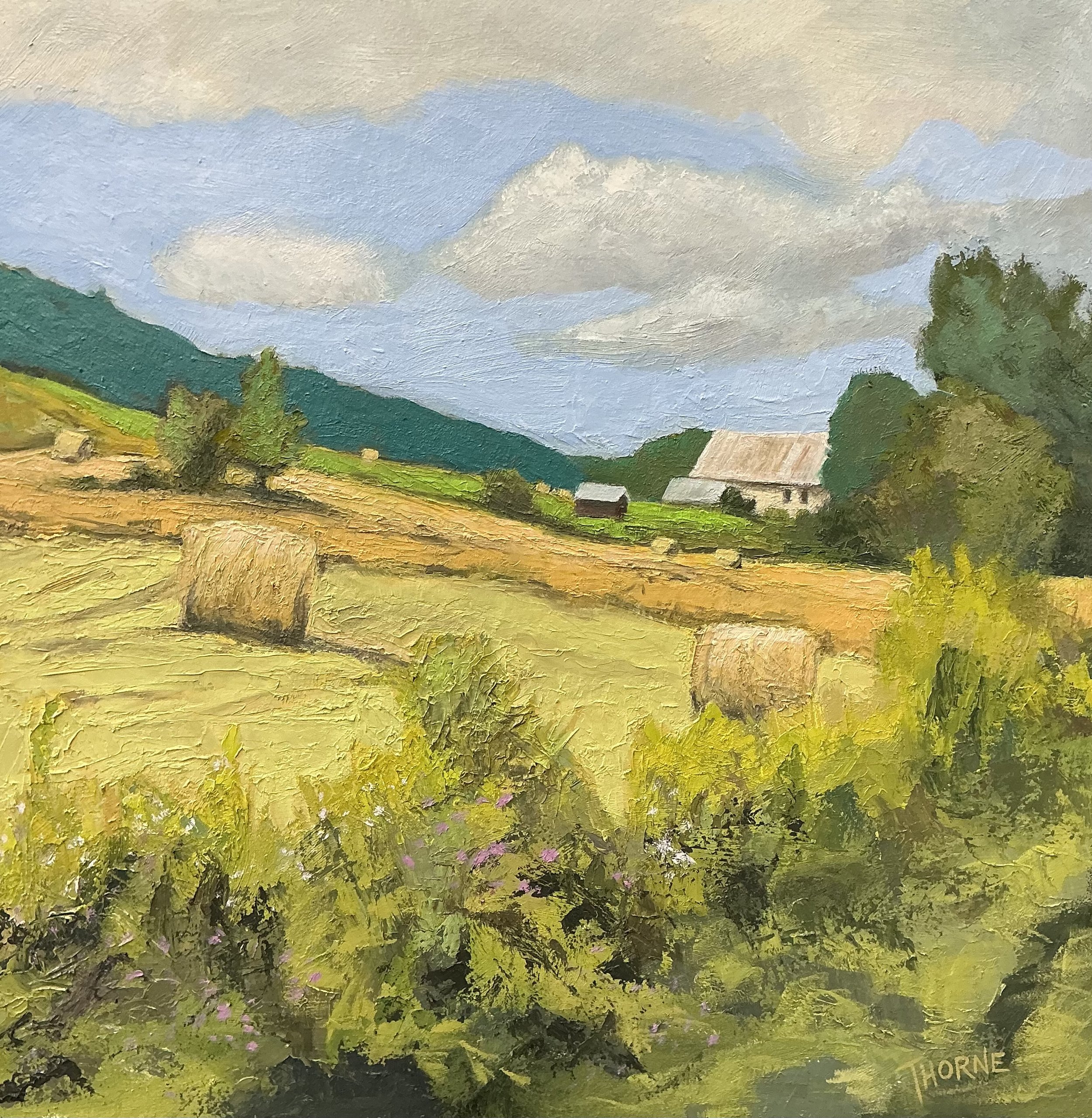 Hay Fever, 16x16 2025