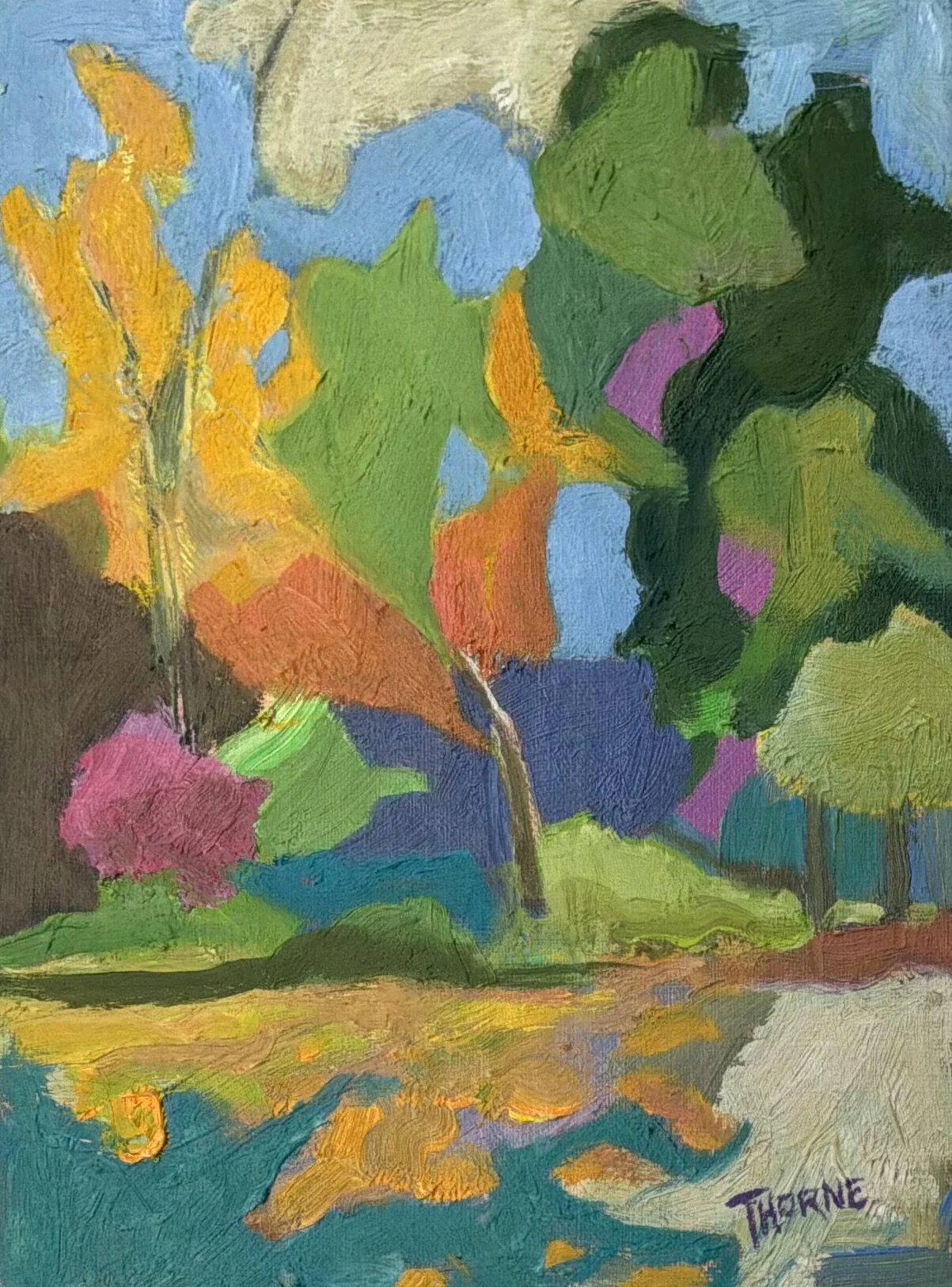 IMG_5278.jpeg