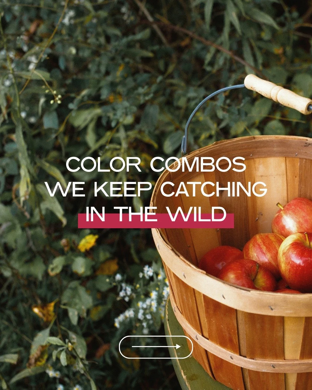 Amanda here 🙋&zwj;♀️

I&rsquo;ve been on a road trip out West, and New Mexico has been a gold mine for dreamy color palettes. I&rsquo;ve found them everywhere: in sunsets, on hiking trails, in old architecture, and even in a fashion moment spotted i