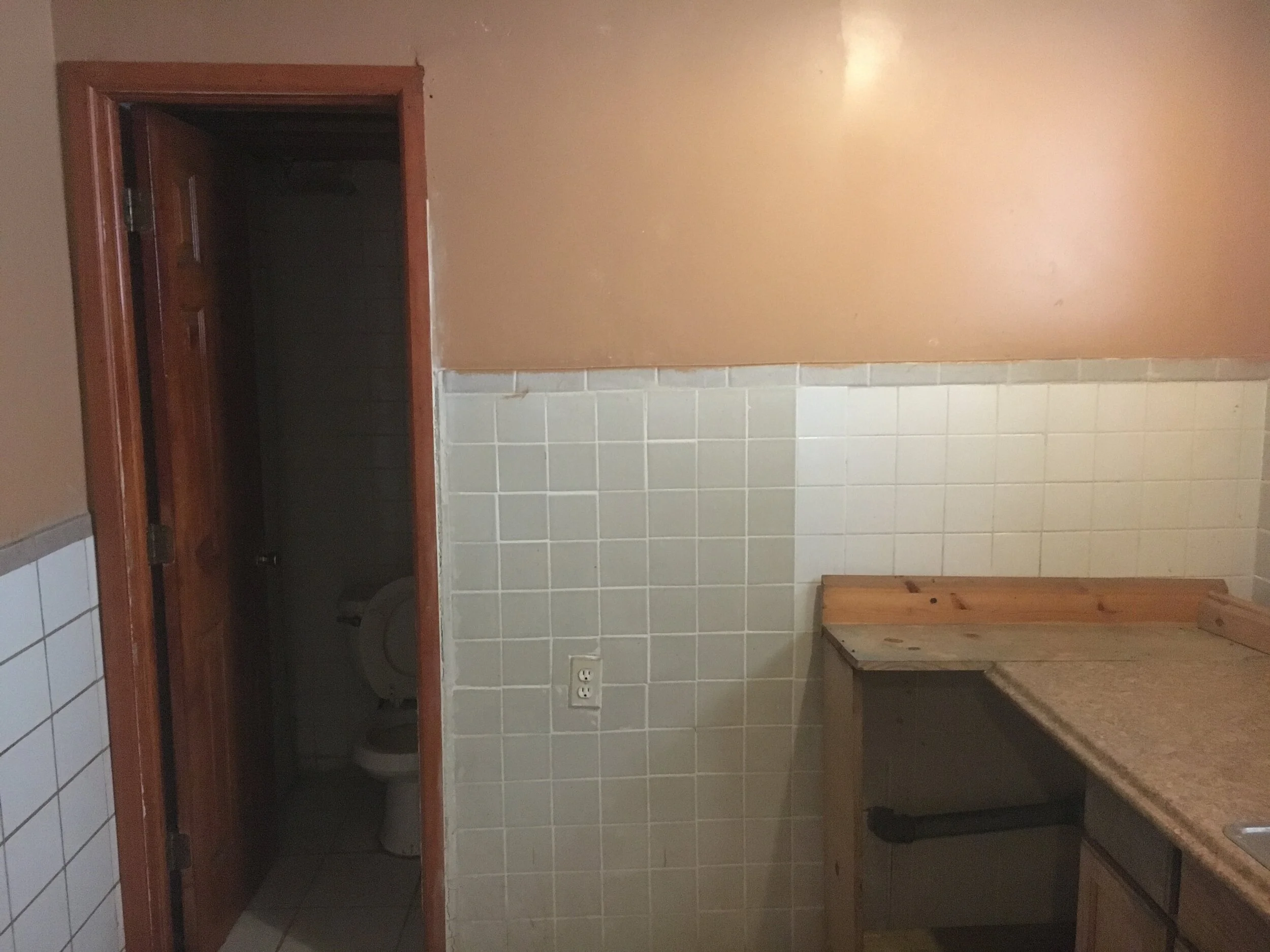 Basement Kitchen