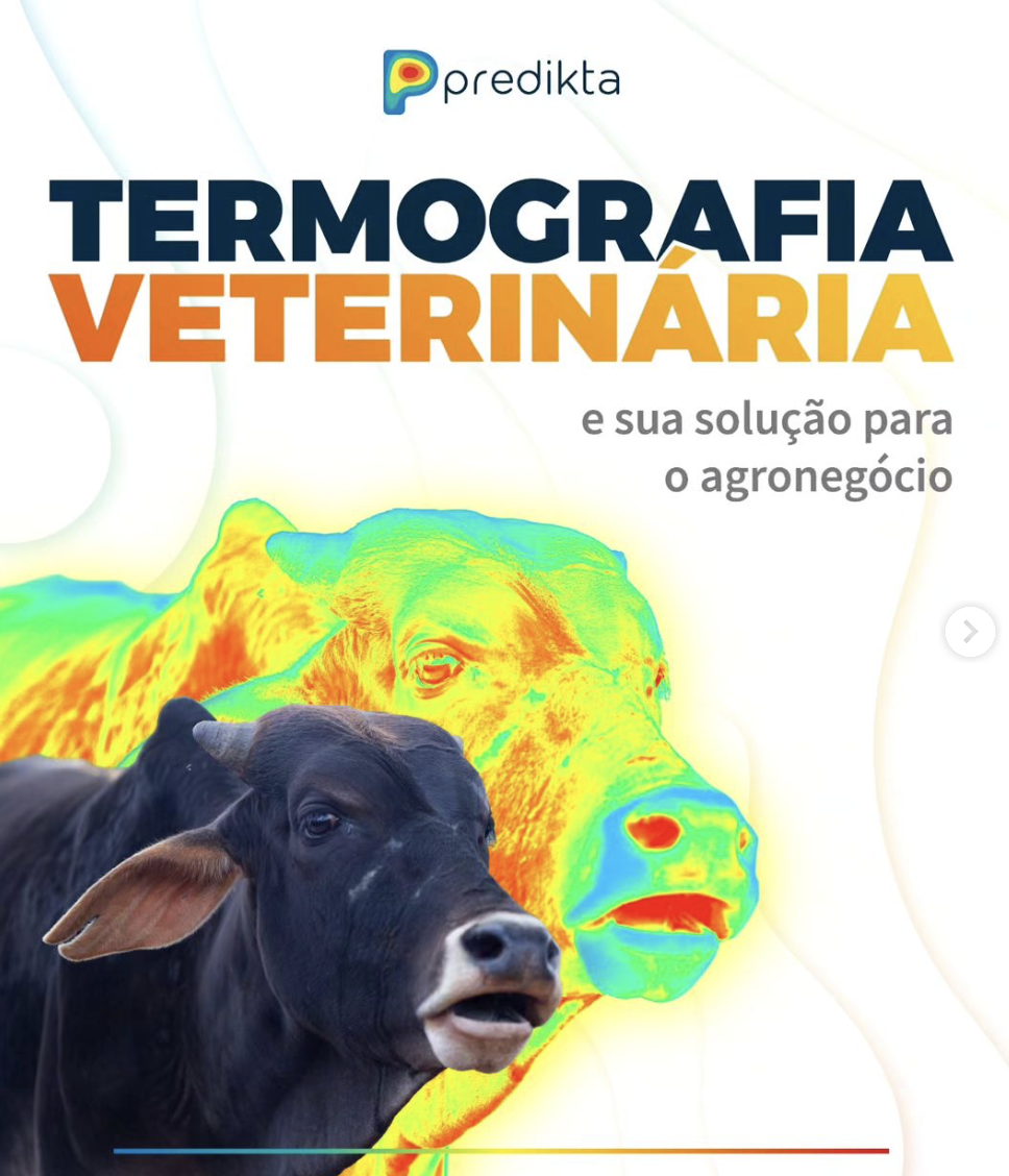 Termografia Veterinária e o agronegócio