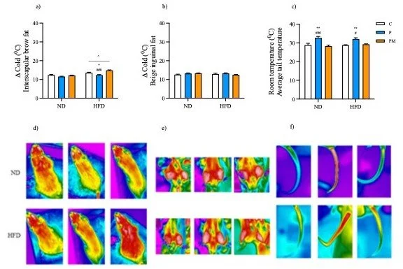 Mais uma artigo publicado com um dos maiores centros de pesquisa com Melatonina do mundo.