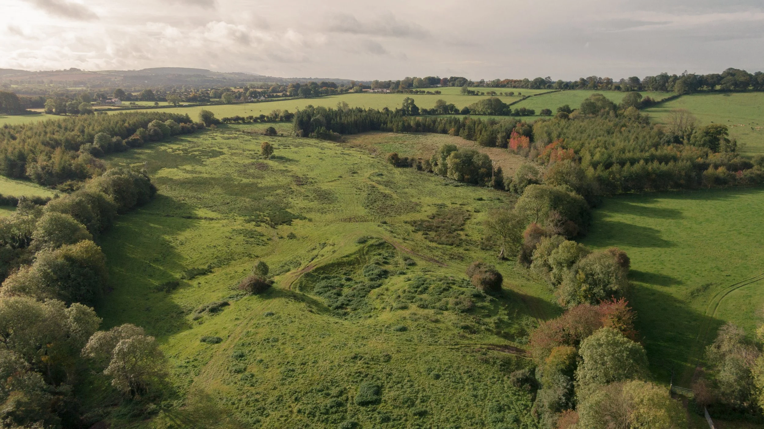 Soearth Guided Nature Walk &amp; Afternoon Tea 