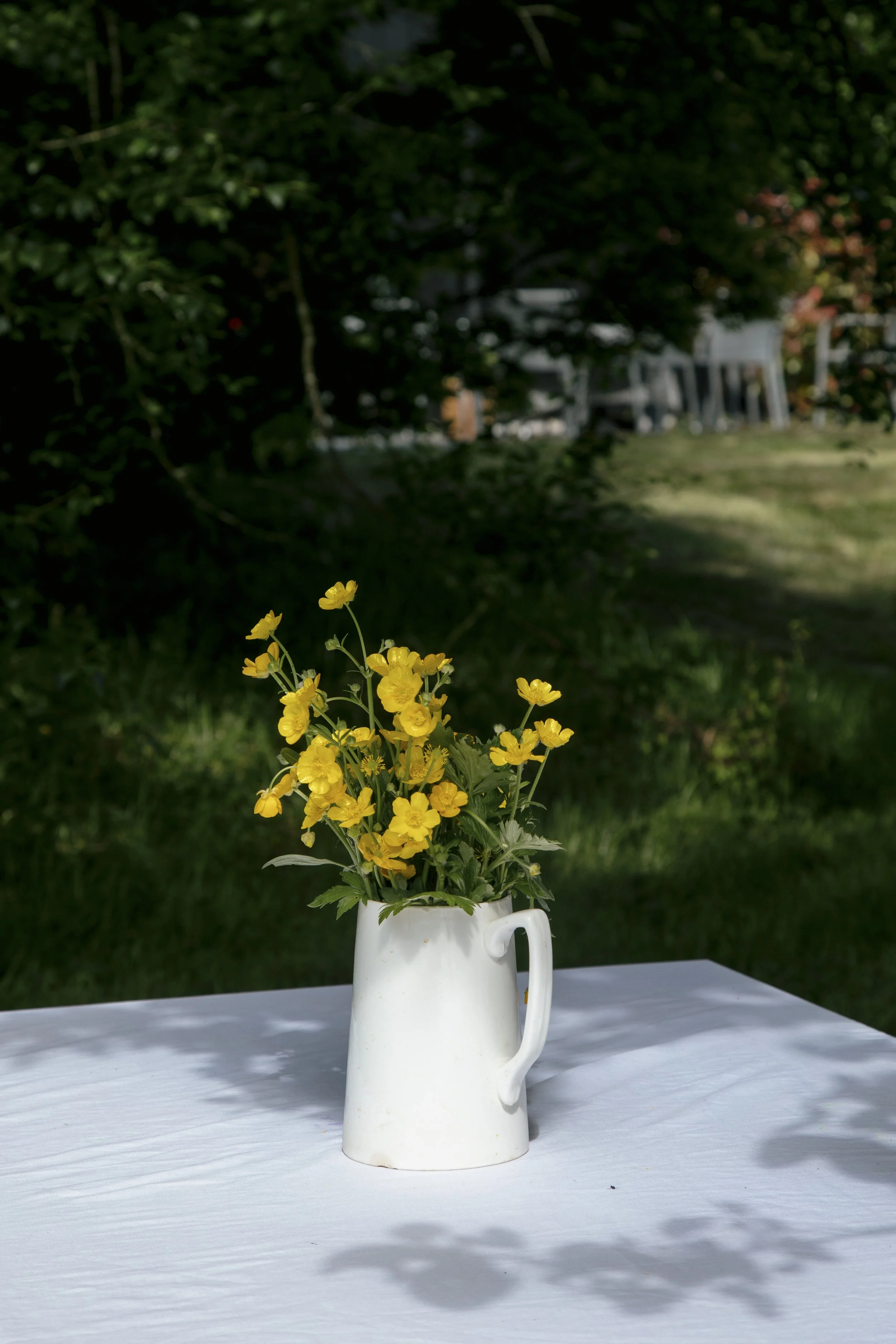COMMON GROUND farm walk and social lunch